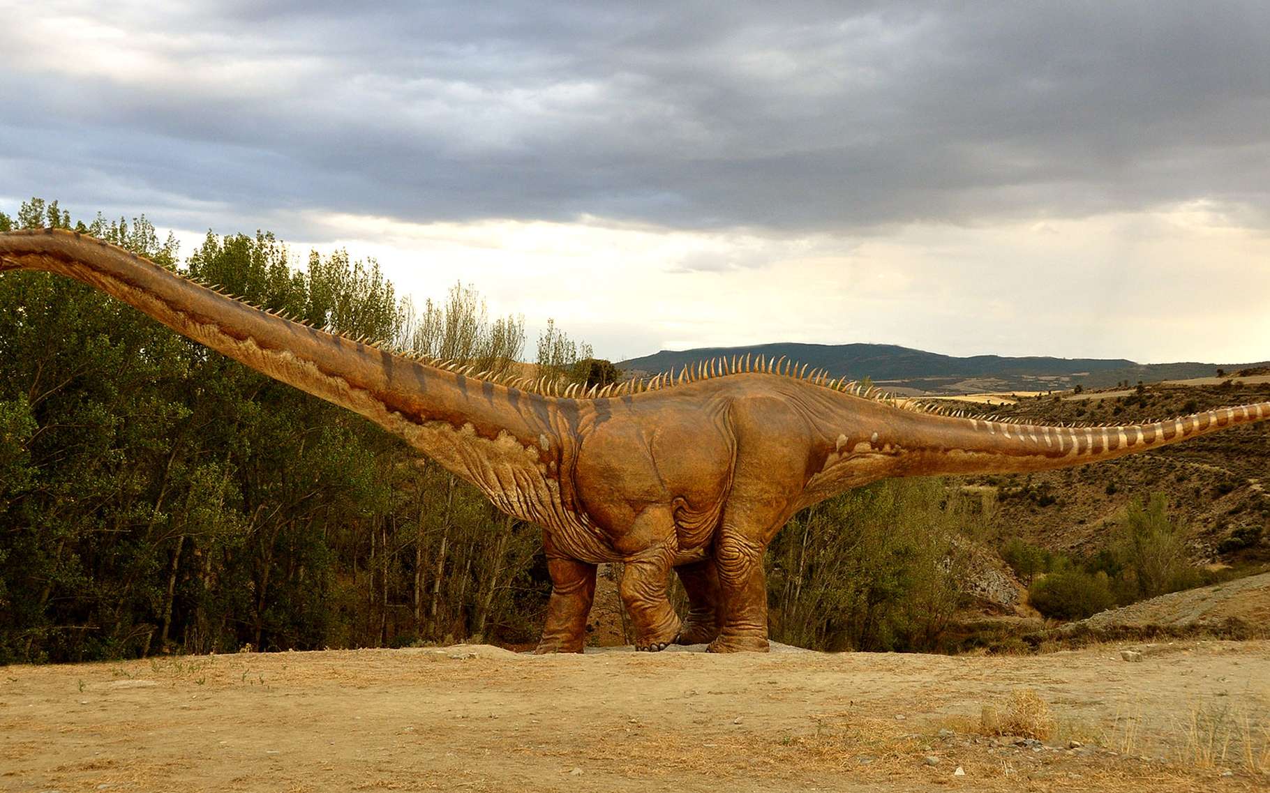 trex for sale trex for sale