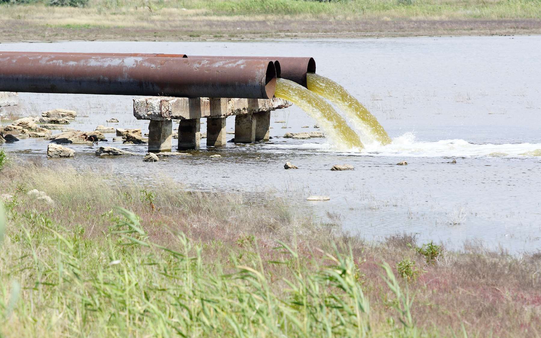 Comment les déjections humaines polluent massivement les rivières