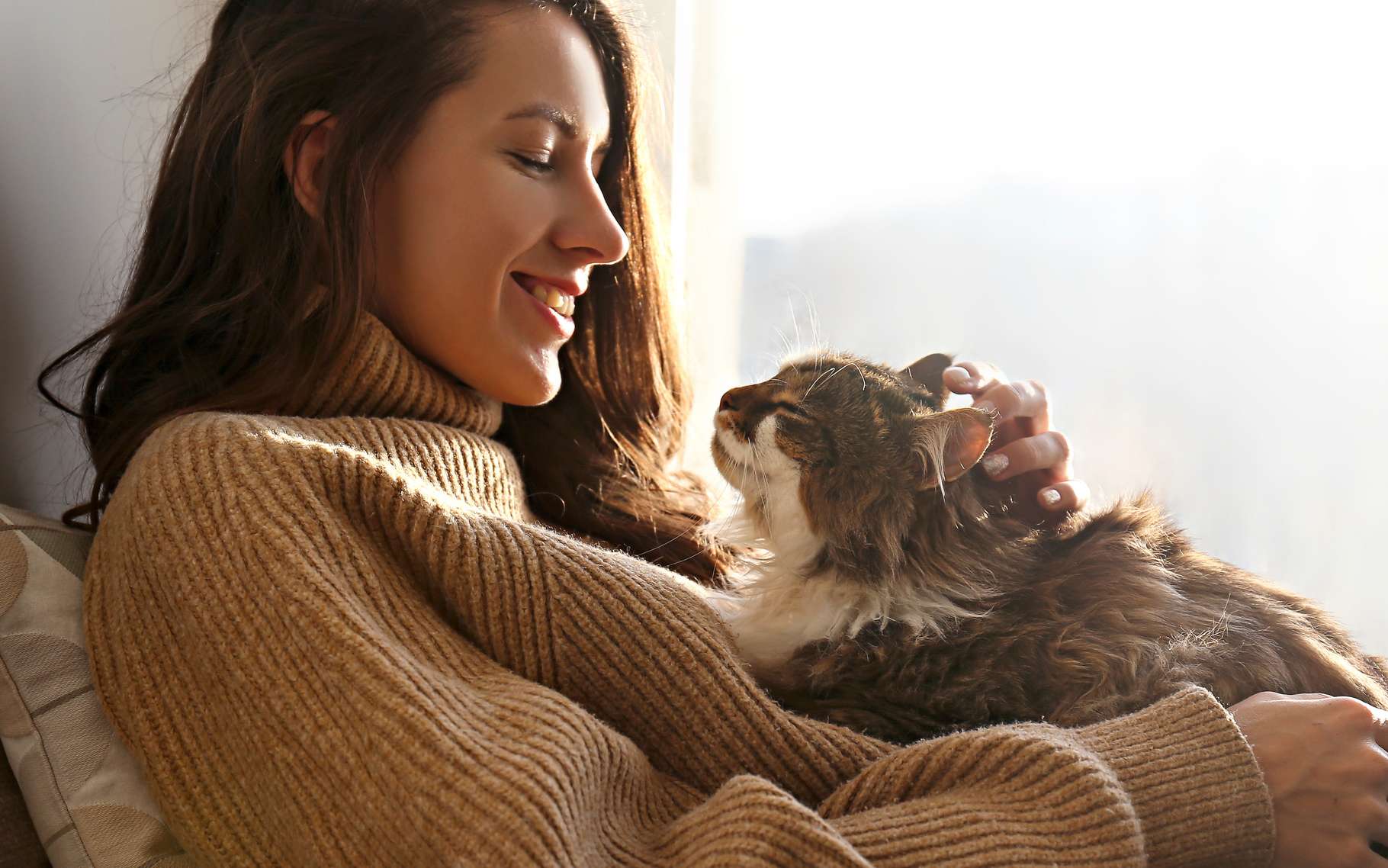 Patient bizarre : son chat tombe malade, elle manque de perdre un oeil !