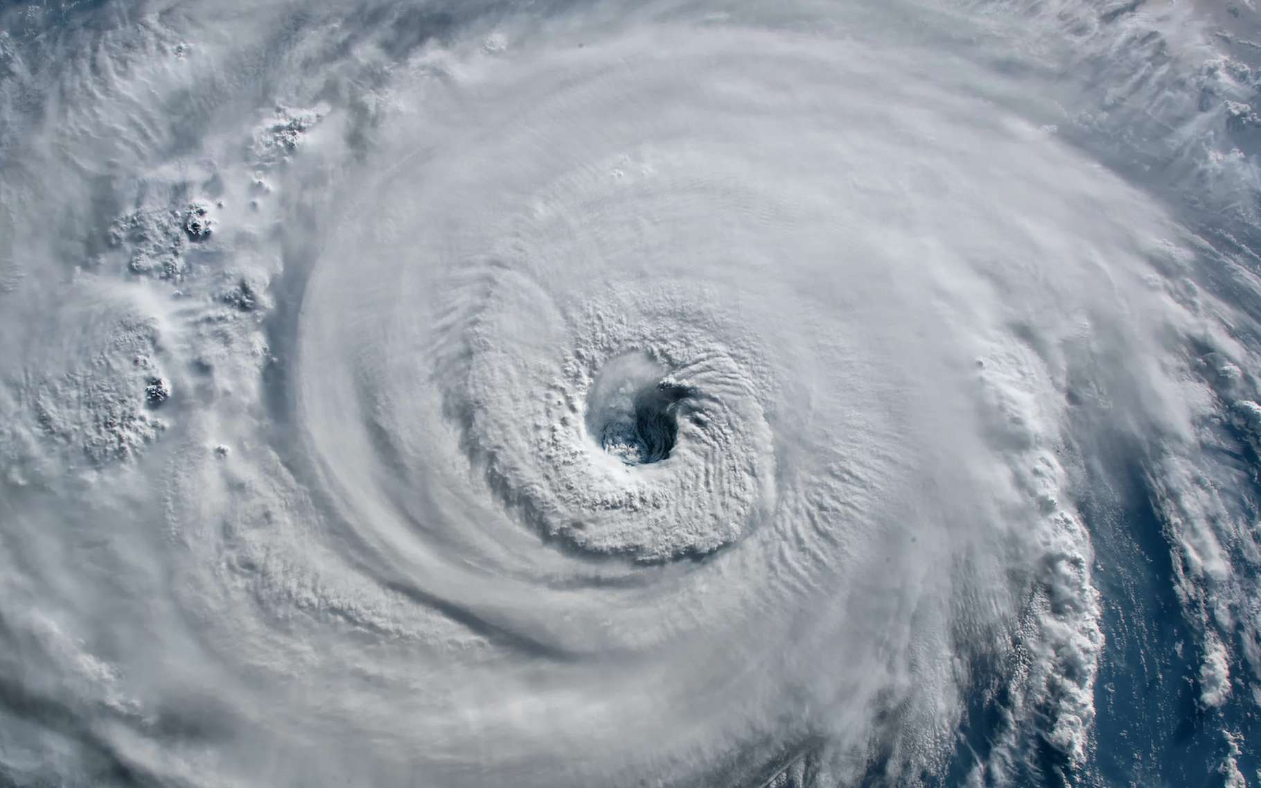 Le Loop Current donne l'énergie nécessaire aux ouragans pour devenir majeurs juste avant d'atteindre les terres. © elroce, Adobe Stock