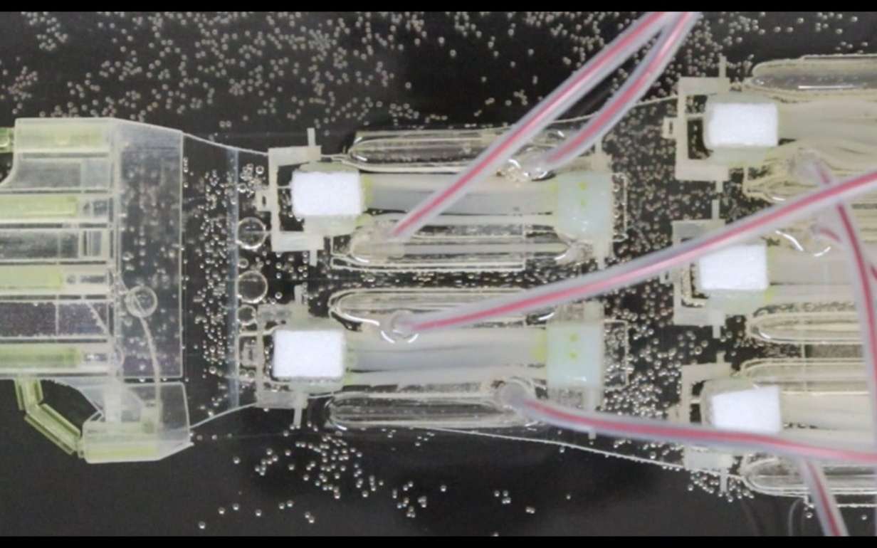 Cette main robotique n'est pas comme les autres... elle possède des muscles humains !