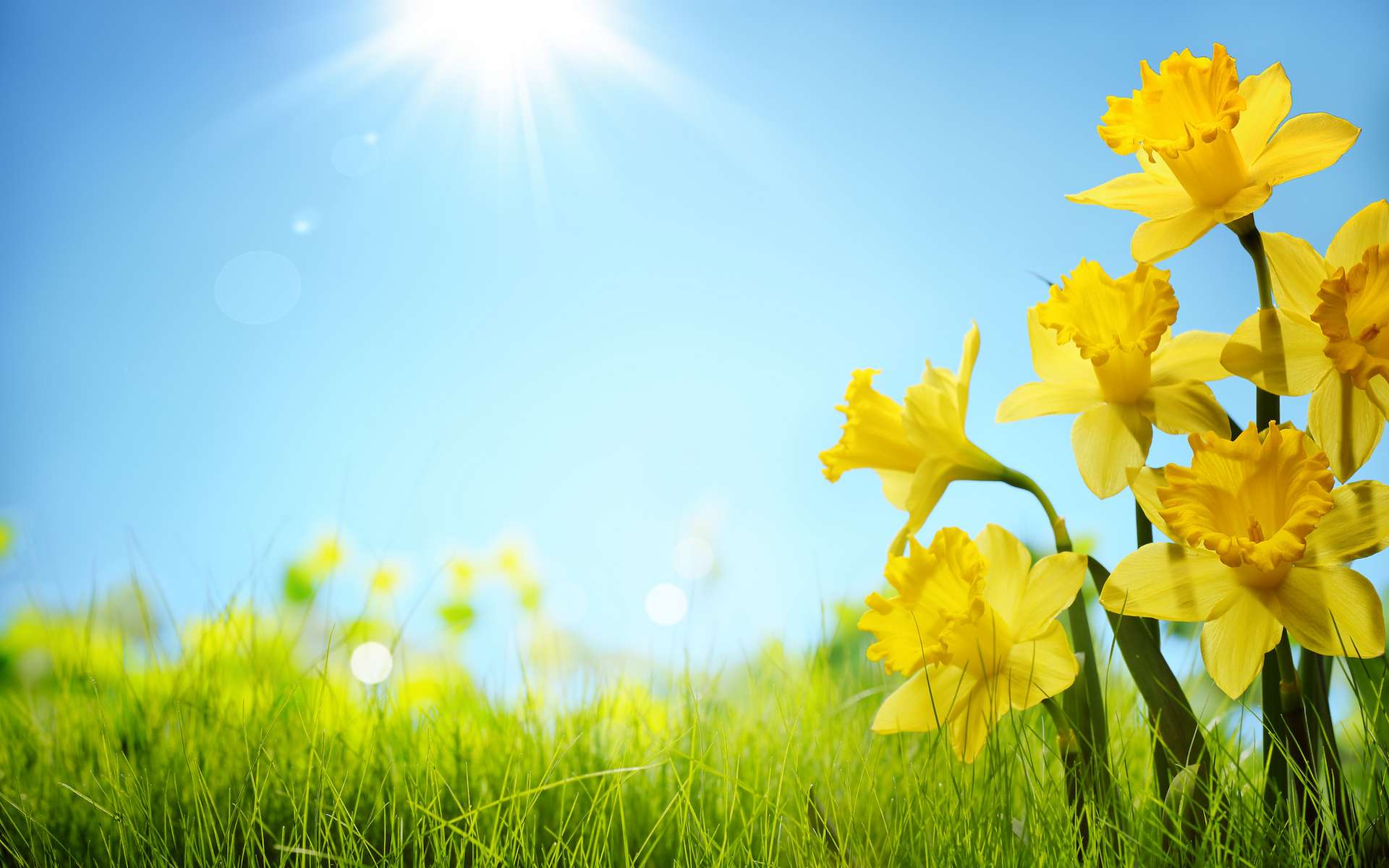 Du soleil aux frissons : préparez-vous au grand retournement des températures en ce début de printemps !