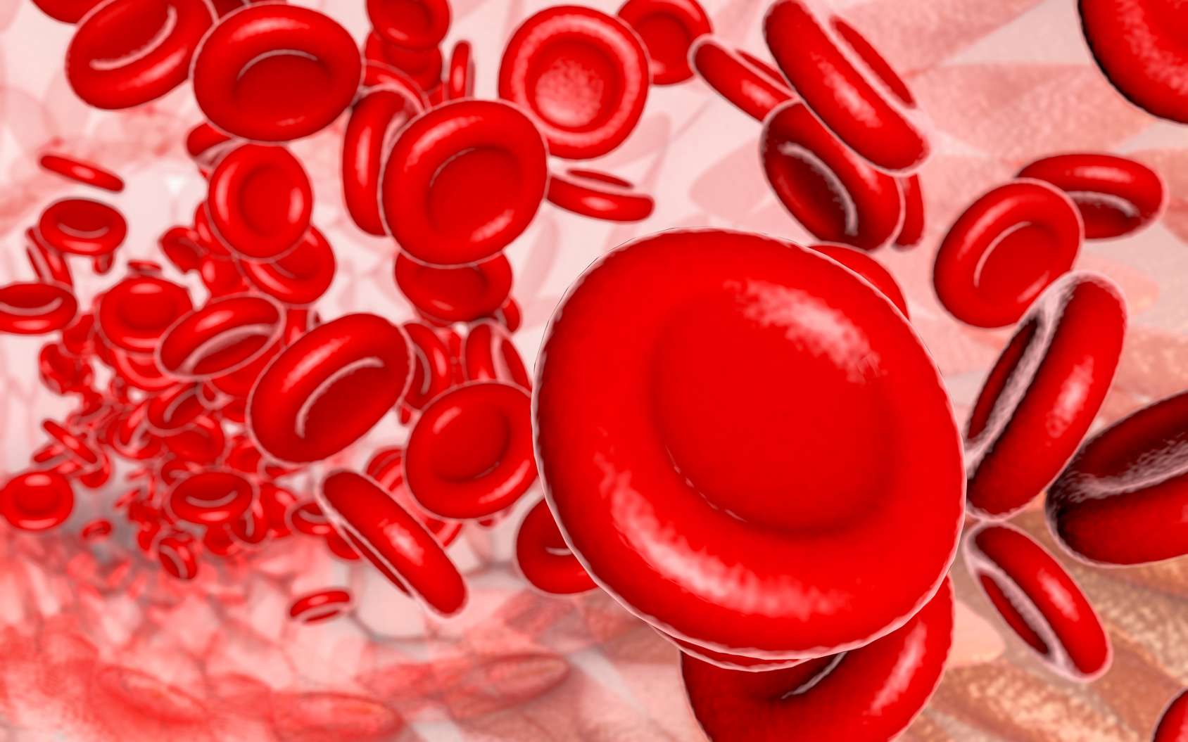 Illustration de globules rouges dans la circulation sanguine. © tuckraider, Fotolia