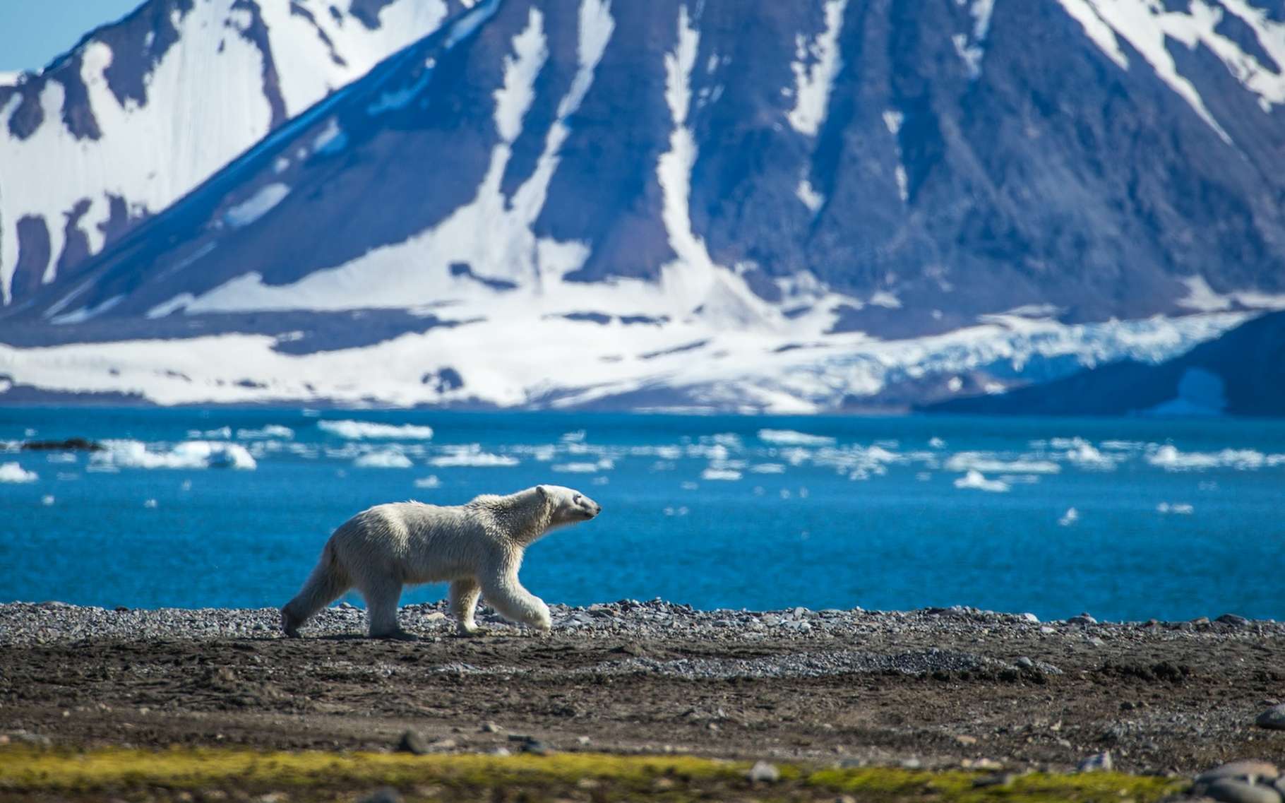 Des chercheurs ont découvert un phénomène qui fait fondre l'Arctique à grande vitesse