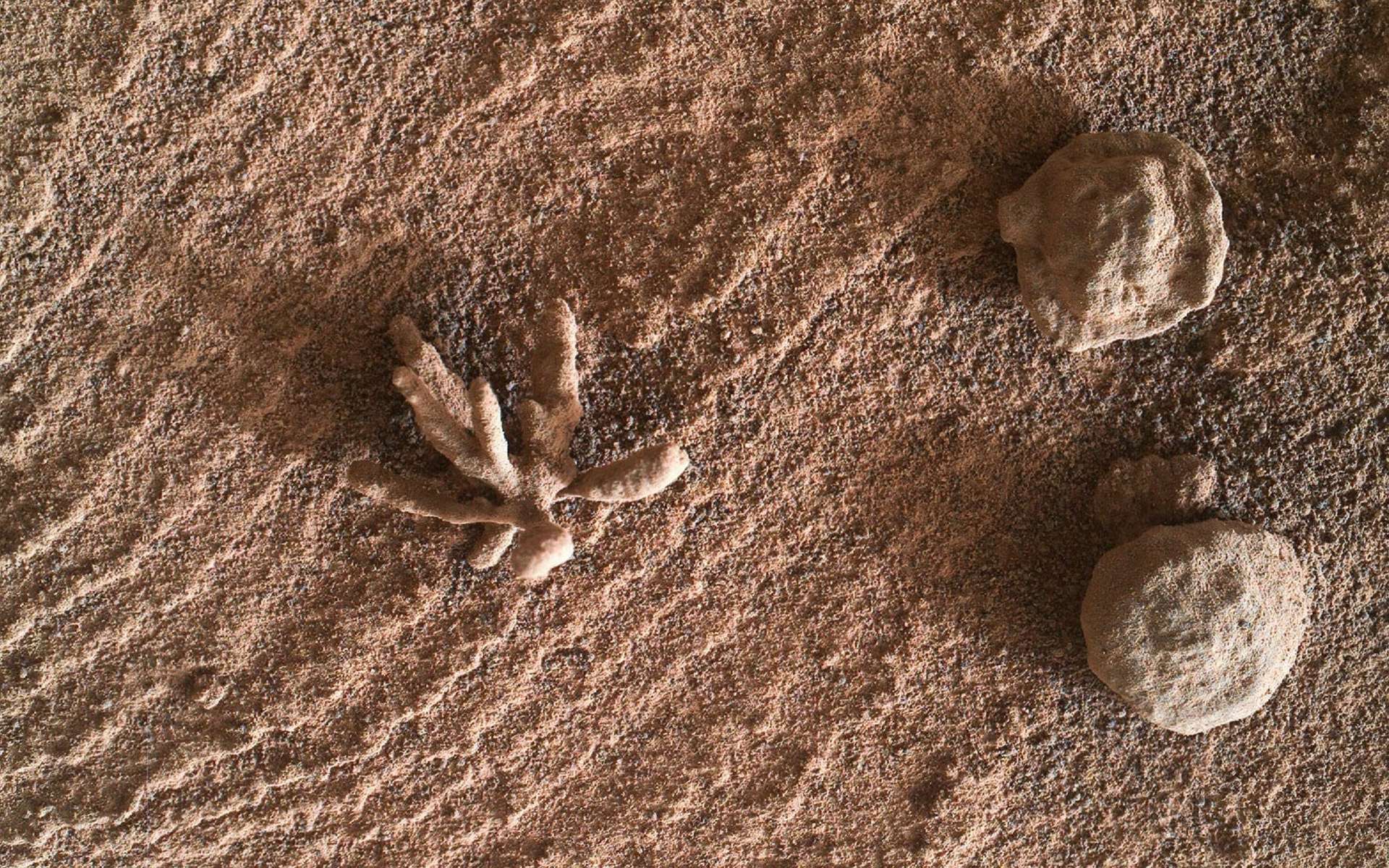 The discovery of a wonderful “metal flower” on the surface of Mars