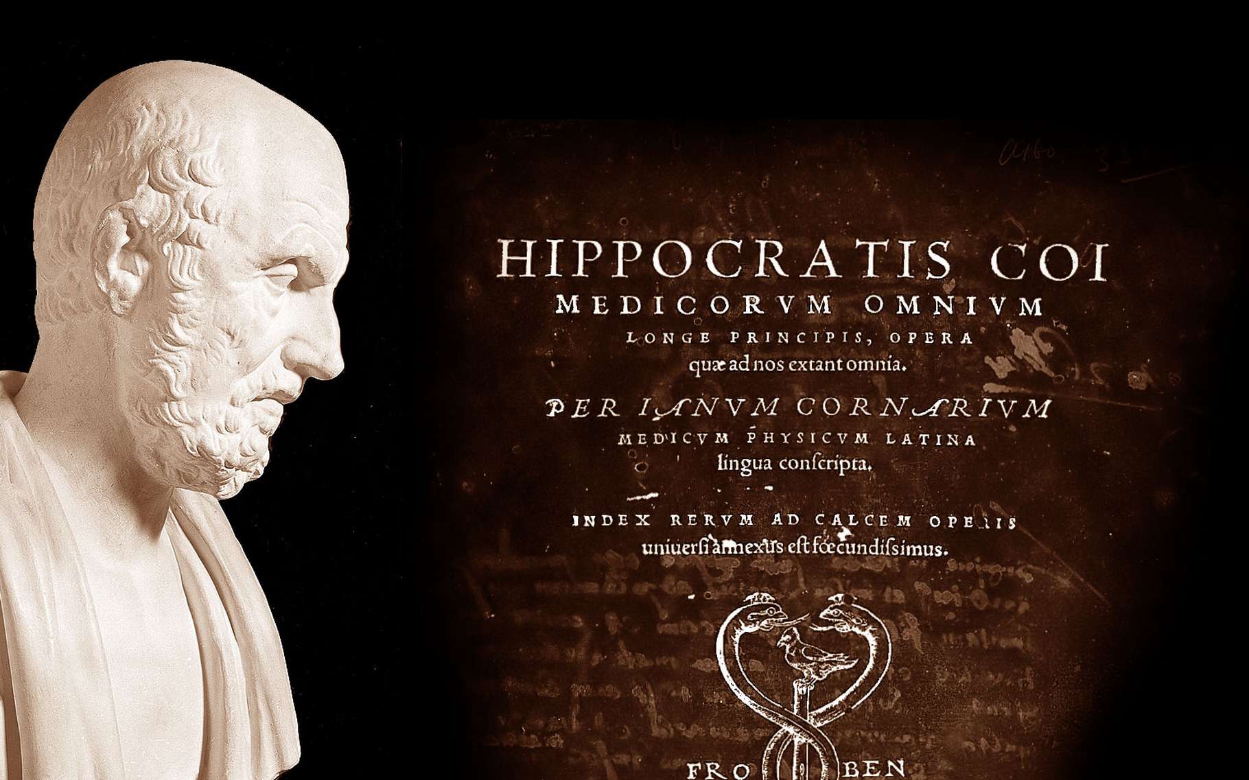 600 Avant J C Le Serment D Hippocrate Dossier