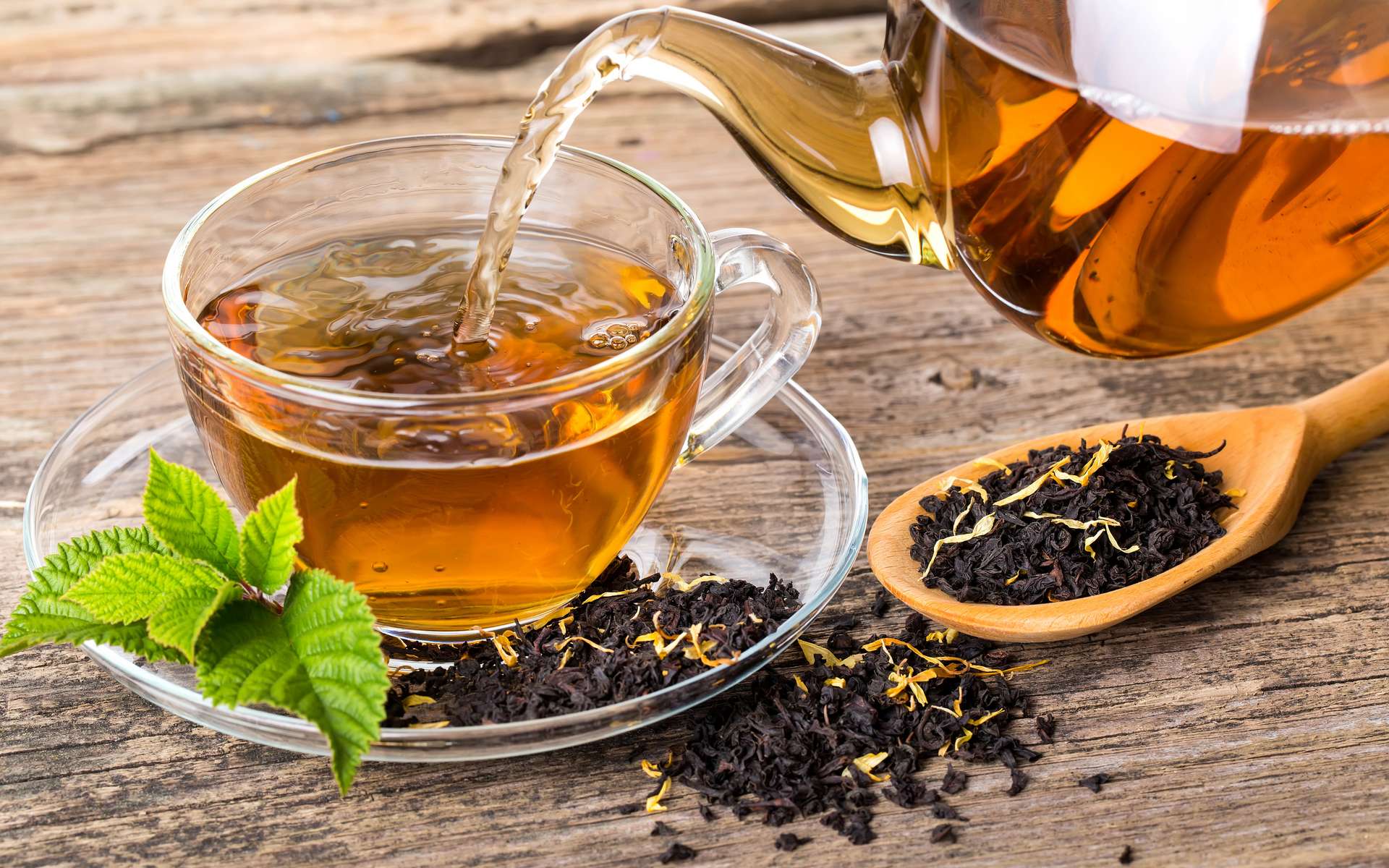 Boire du thé noir réduit la mortalité, selon une étude