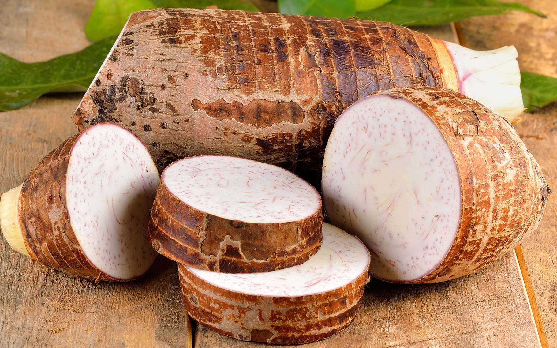 L’igname de Chine, un légume grimpant | Dossier