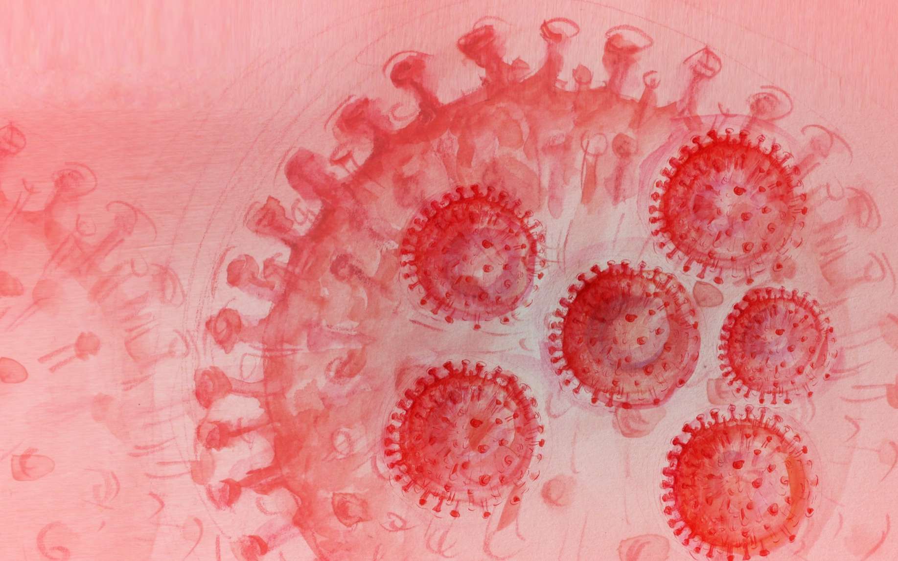 Plusieurs études confirment que les réinfections par le nouveau coronavirus, le Sars-CoV-2, à l’origine de la pandémie de Covid-19 sont possibles. © Annett Seidler, Adobe Stock