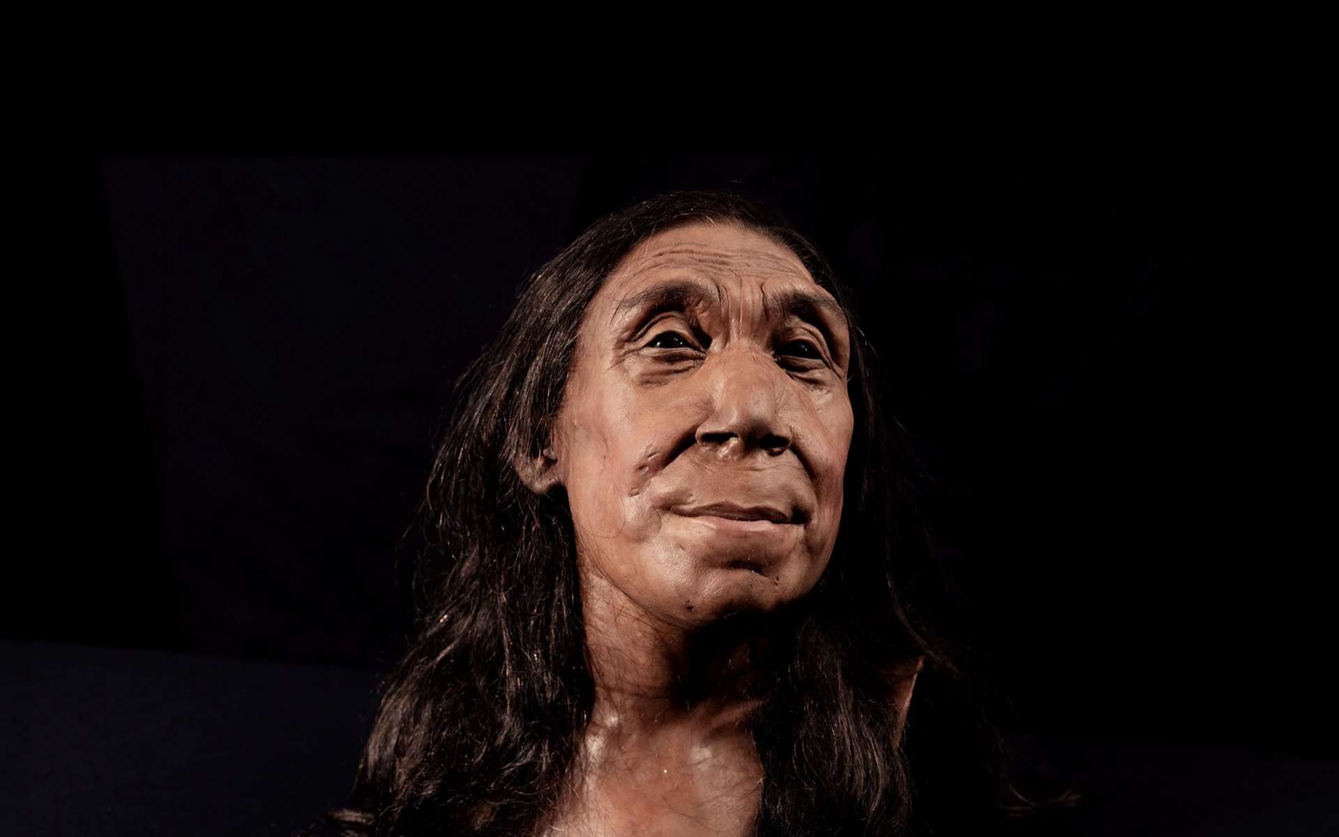 Reconstitution stupéfiante du visage d'une femme Neandertal