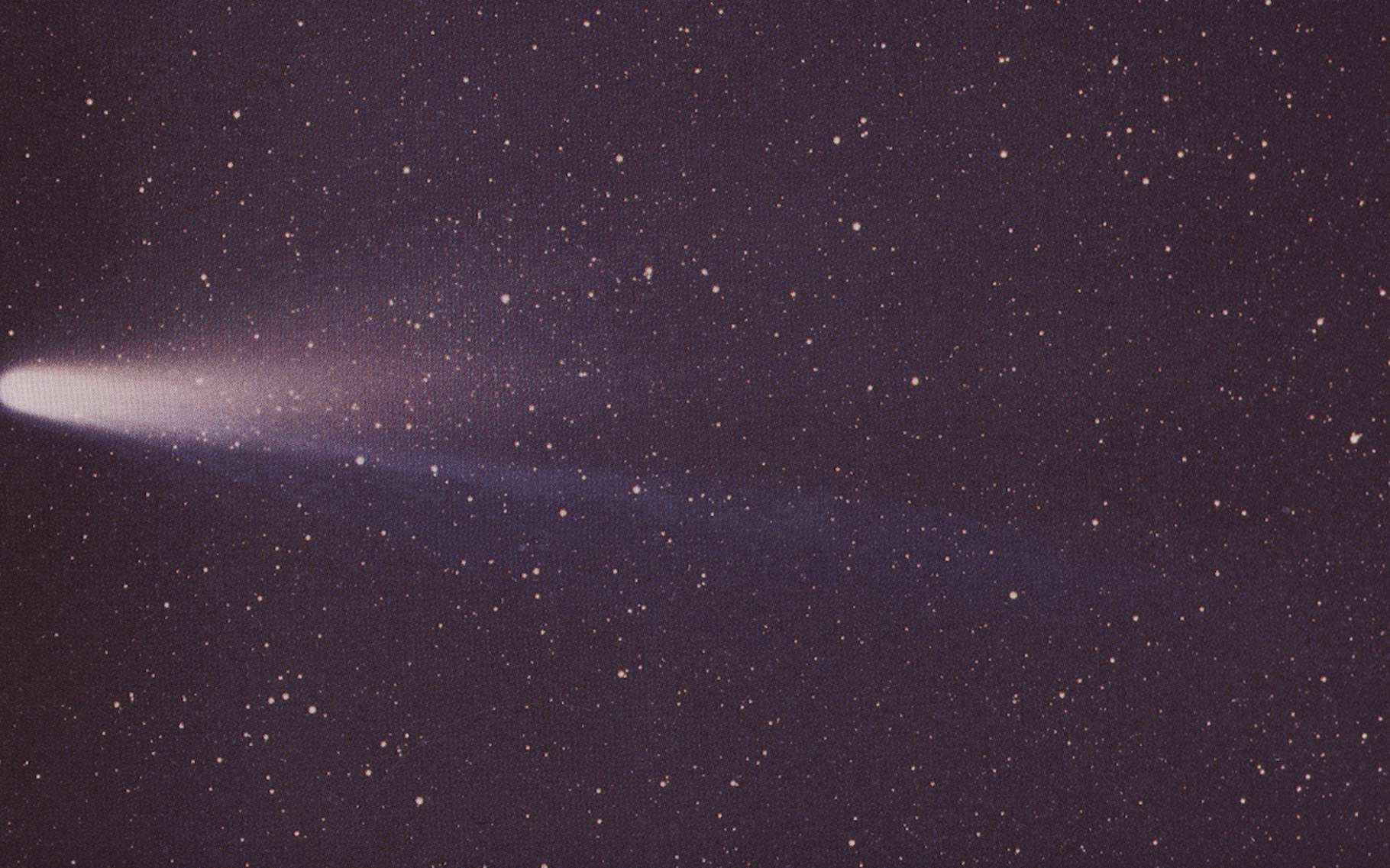 Étoiles filantes : préparez-vous à observer des débris de la comète de Halley