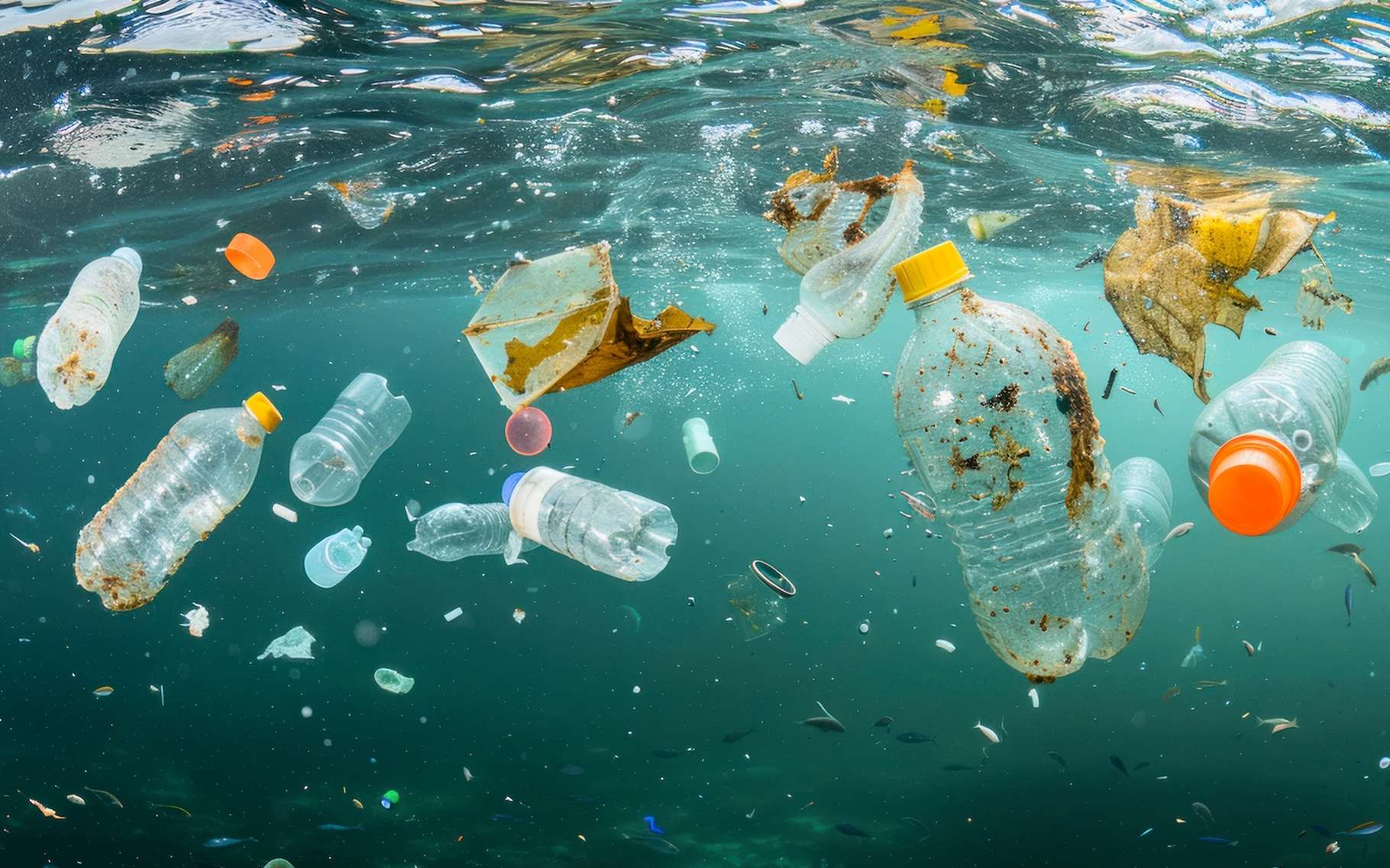 La vie marine cède face à l'invasion des plastiques dans cette zone tristement célèbre du Pacifique, révèle une étude