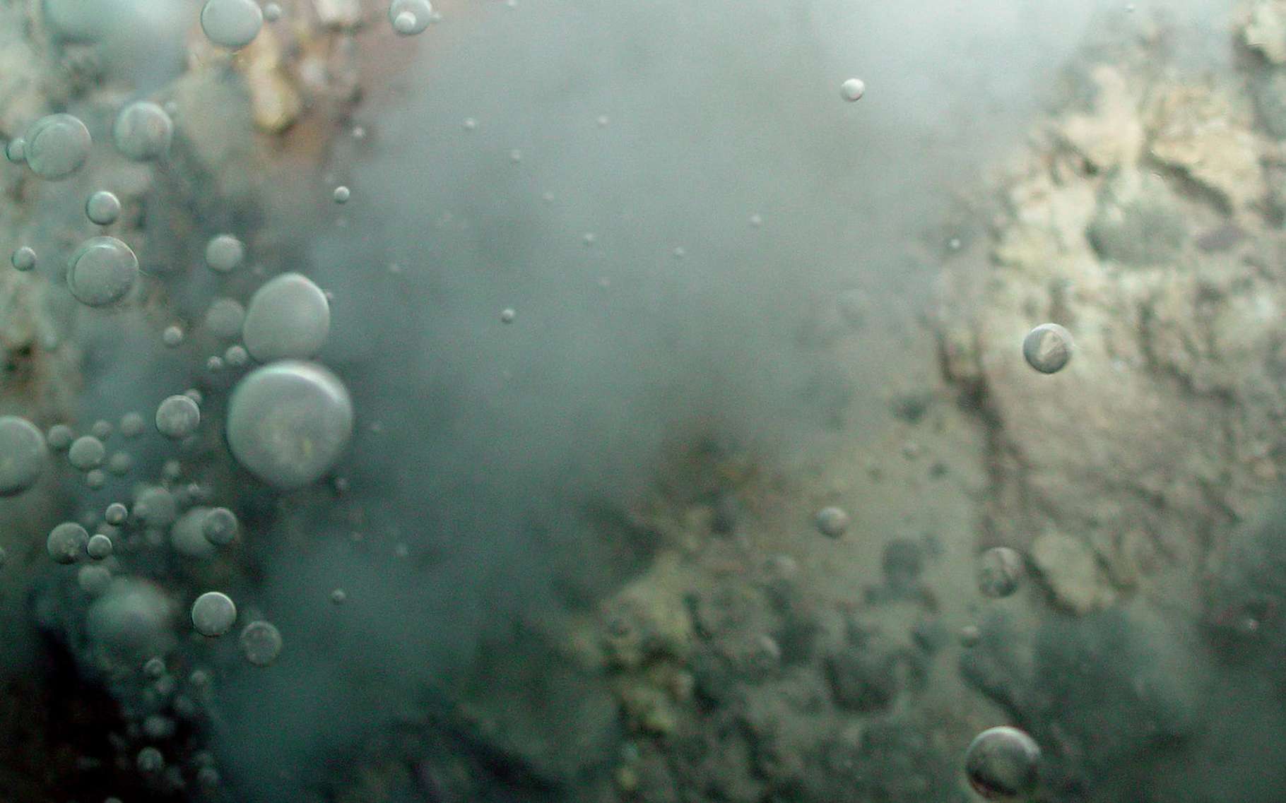 Des biologistes et des chimistes de l’University College London (Royaume-Uni) ont obtenu des protocellules par autoassemblage dans un environnement similaire à celui des cheminées hydrothermales. Ici, des fumeurs blancs. © NOAA, Wikipedia, Domaine public