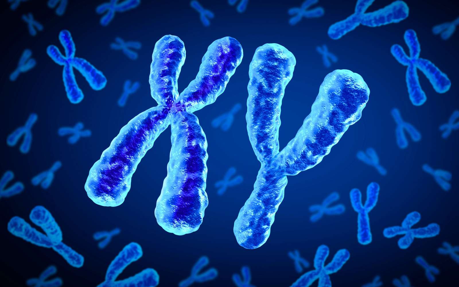 Menace sur le chromosome Y : ce nouveau gène pourrait façonner l'avenir des hommes