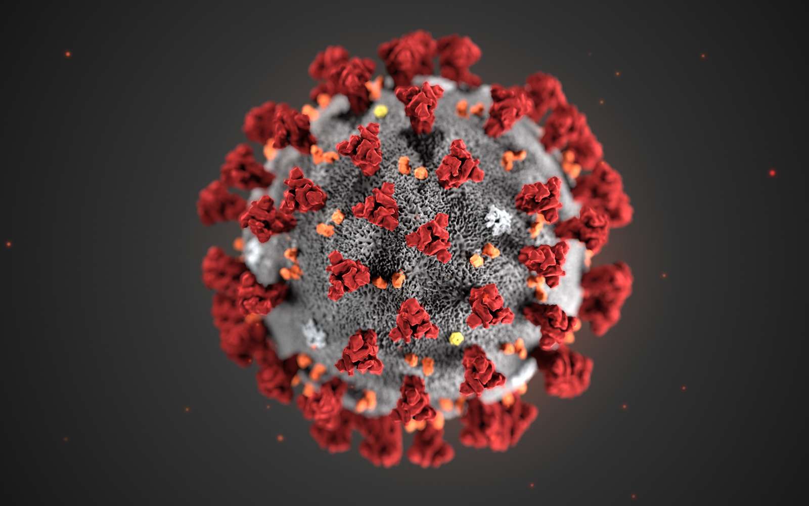 Cette illustration, créée aux Centers for Disease Control and Prevention (CDC), révèle la morphologie ultrastructurale des coronavirus. Notez les pointes, des protéines qui ornent la surface externe du virus donnant l'apparence d'une couronne entourant le virion, lorsqu'elles sont vues au microscope électronique. Un nouveau coronavirus, appelé syndrome respiratoire aigu sévère coronavirus 2 (SRAS-CoV-2), a été identifié comme la cause d'une épidémie de maladie respiratoire détectée pour la première fois à Wuhan, en Chine en 2019. La maladie causée par ce virus a été appelée maladie de coronavirus 2019 (Covid-19). © DP, Alissa Eckert, MS ; Dan Higgins, MAMS