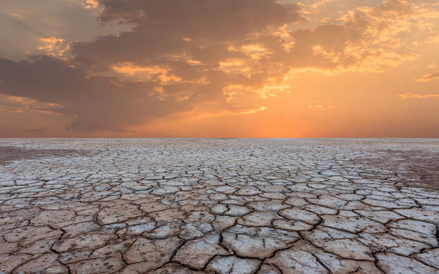 La Niña est en grande partie responsable de la sécheresse historique des USA. © yotrakbutda, Adobe Stock