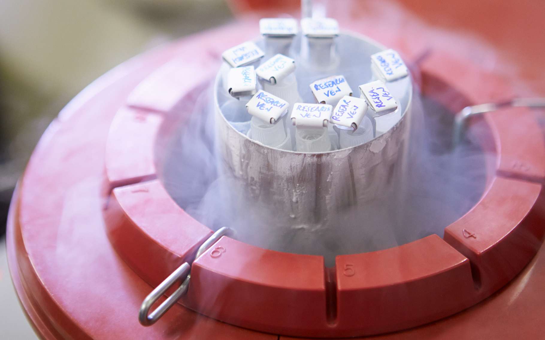 L’azote liquide est l’un des éléments clés de la cryogénie, ici pour la conservation de sperme. © Monkey Business Images, Shutterstock