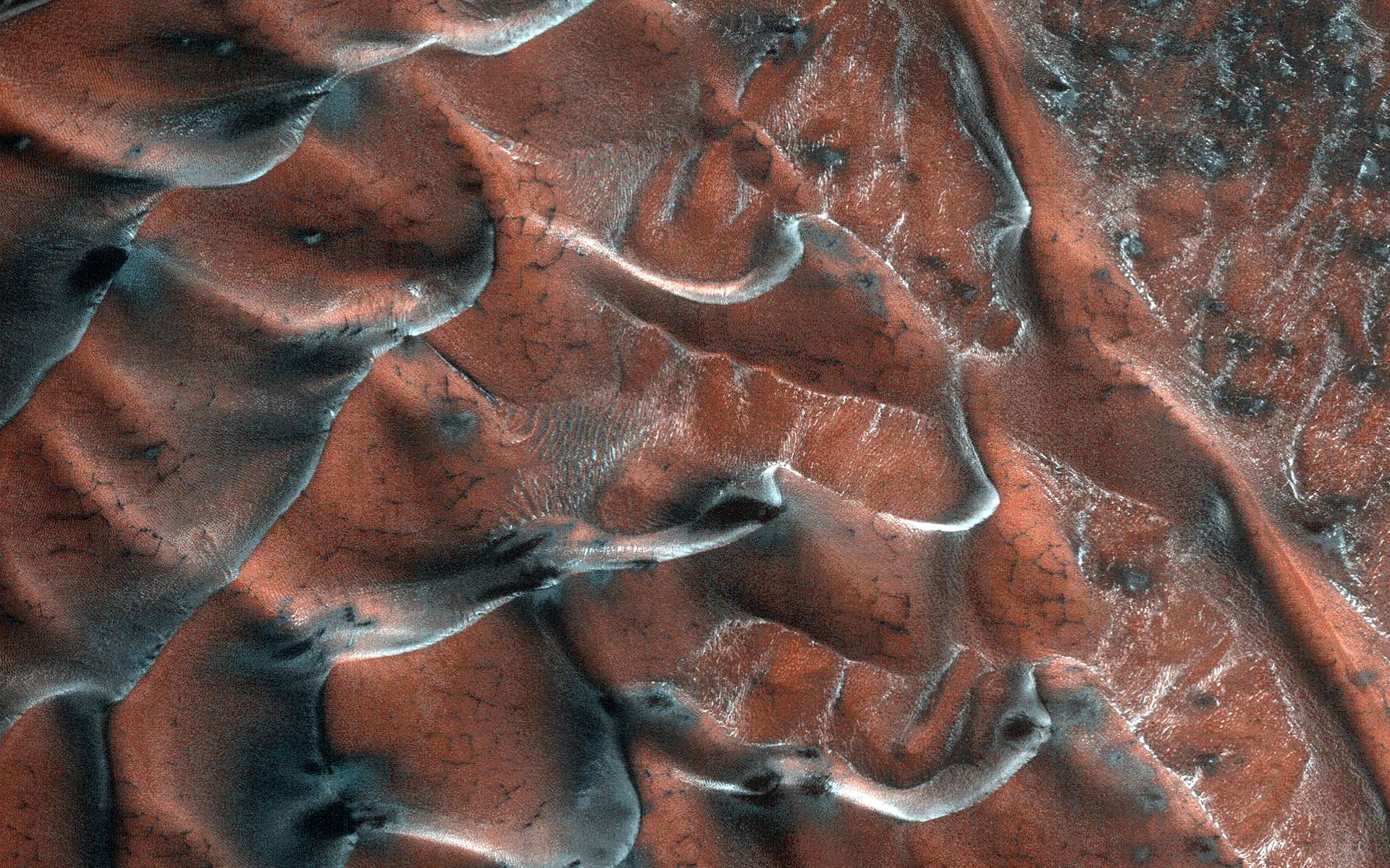 Champ de dunes à l'intérieur d'un petit cratère de cinq kilomètres de diamètre dans les plaines du nord de Mars. © Nasa, JPL, UArizona