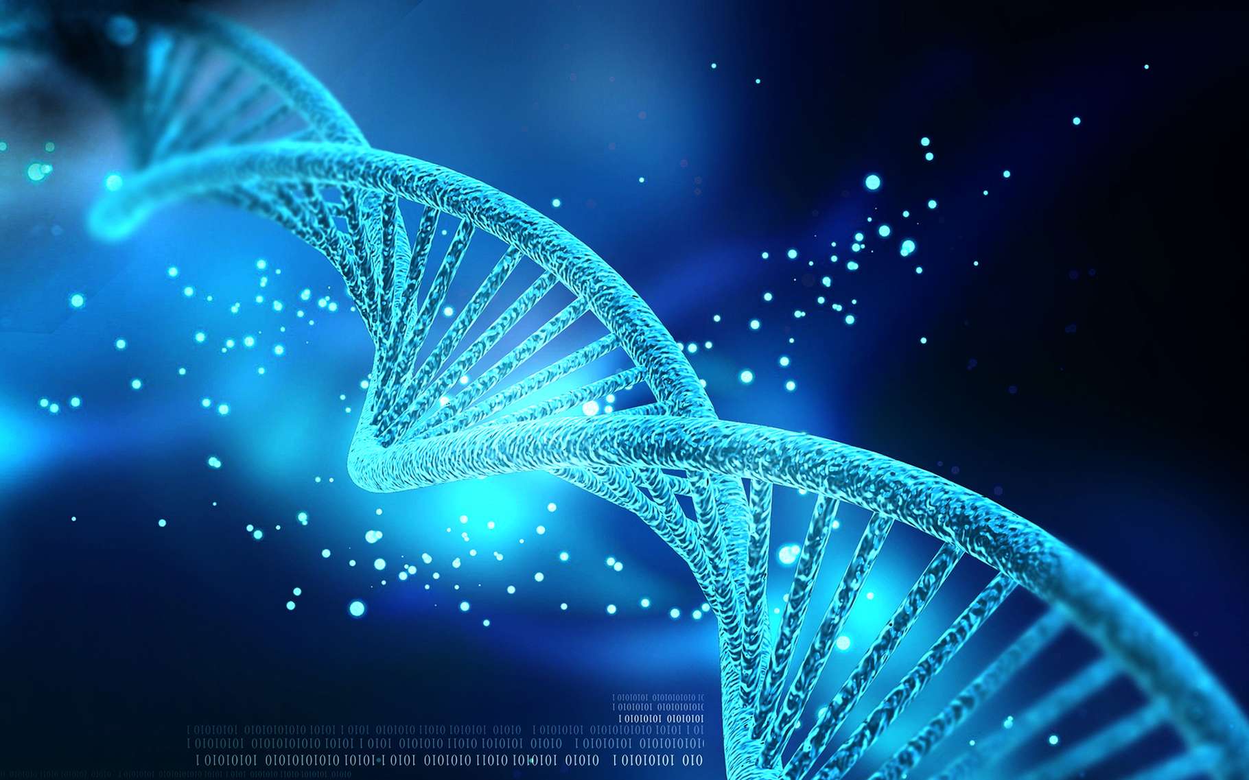 Définition | ADN - Acide DésoxyriboNucléique | Futura Santé
