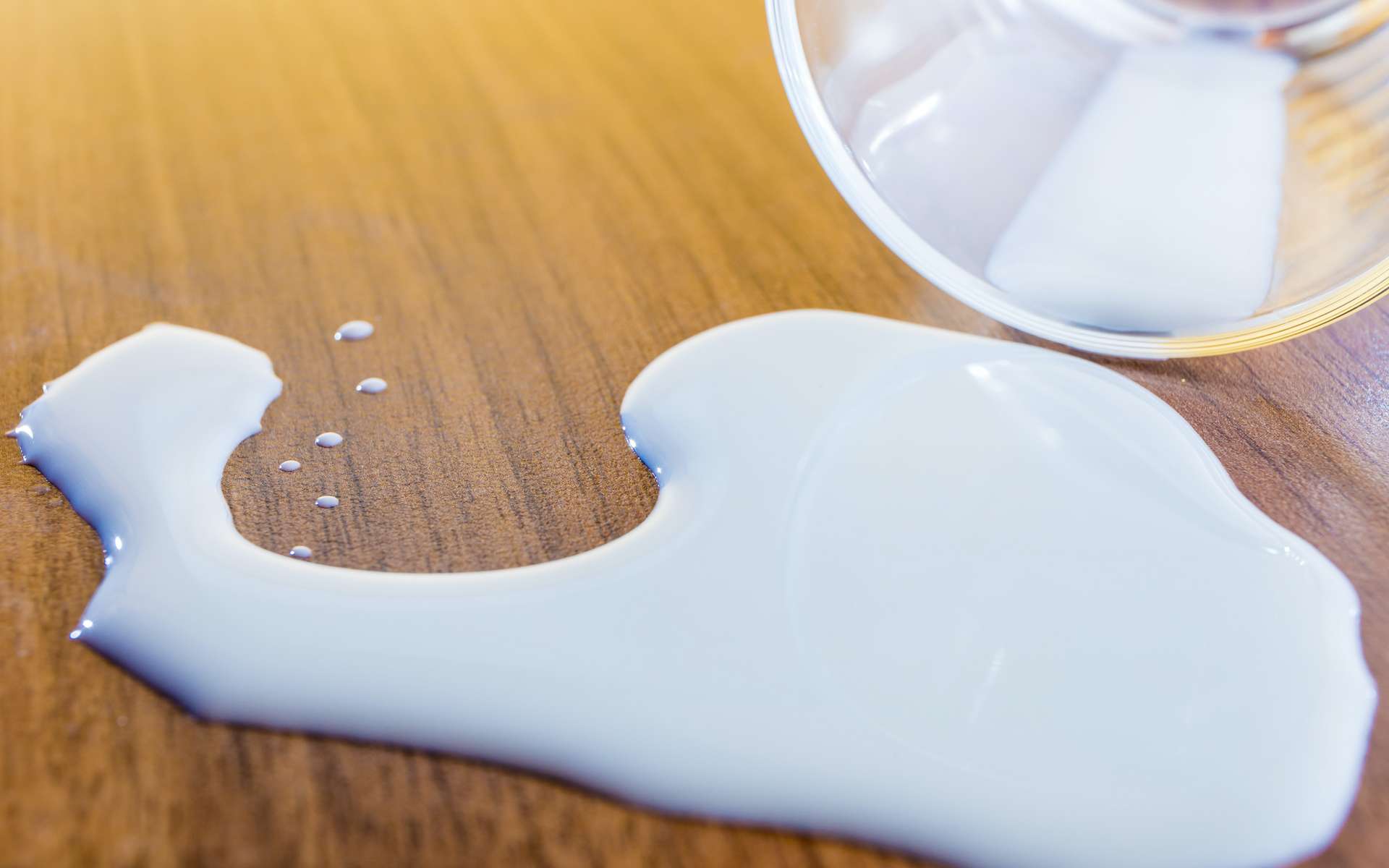 Je n’ai plus de lait : par quoi le remplacer ? © Rainer Fuhrmann, Adobe Stock