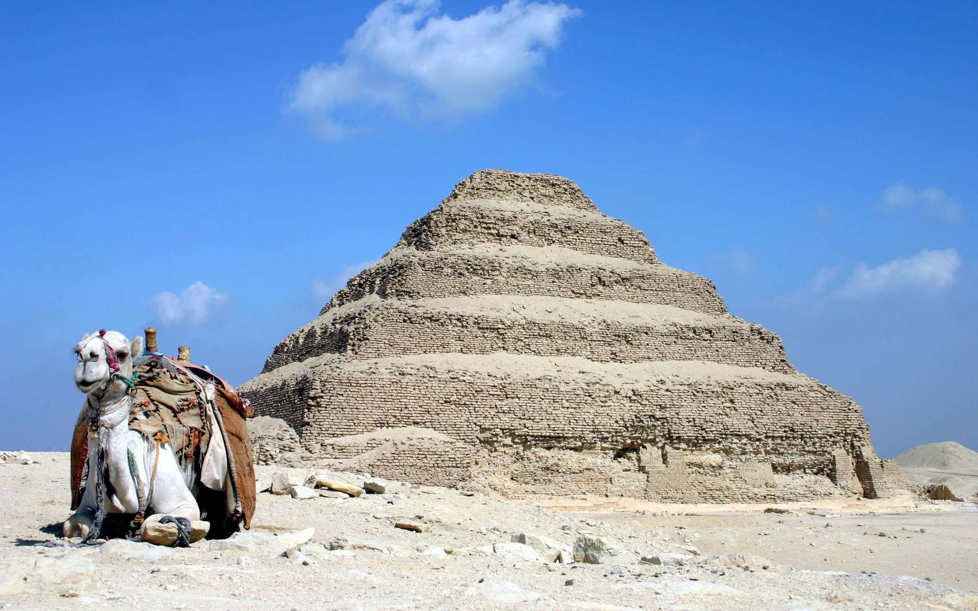 Moisson de découvertes d'objets mystérieux à Saqqarah en Égypte