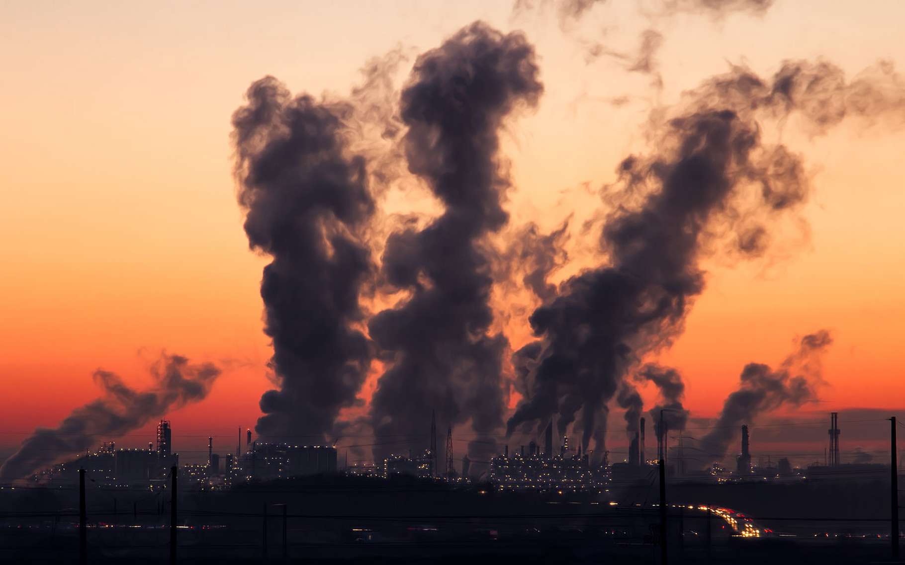 Conséquences des pluies acides Dossier