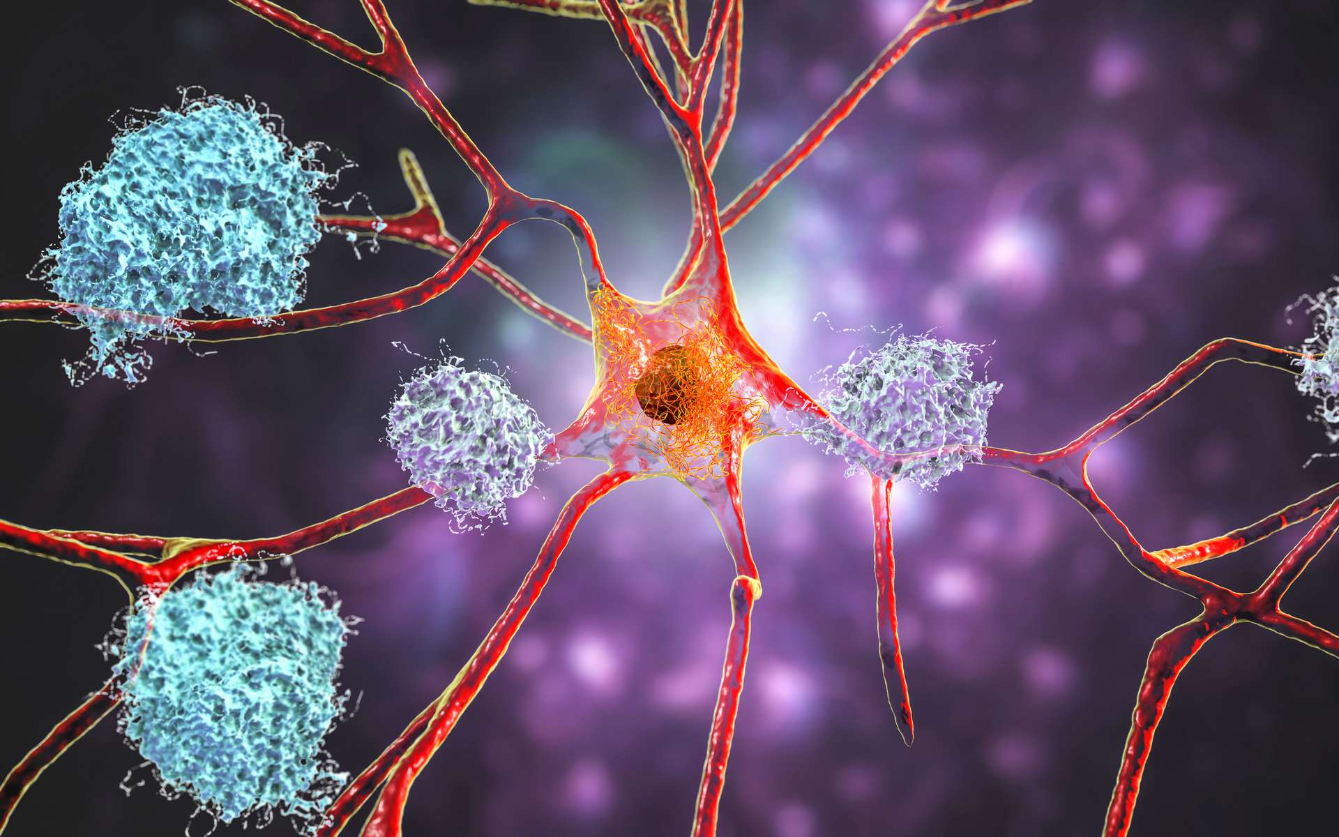 Alzheimer : le Viagra pourrait combattre les protéines neurotoxiques dans le cerveau !