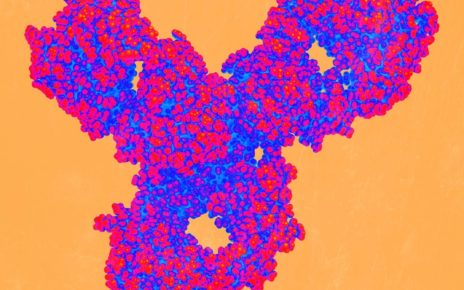 Vue d’artiste d’une surface fonctionnalisée munie d’anticorps anticancéreux (en forme de Y). L'immunothérapie, testée depuis 1893, représente certainement l'une des pistes d'avenir pour le traitement des cancers. © PNNL, Flickr, CC by-nc-sa 2.0
