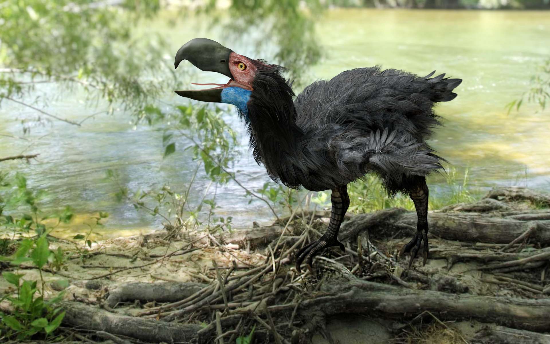 3 mètres de terreur : mieux valait ne pas croiser cet oiseau épouvantable !