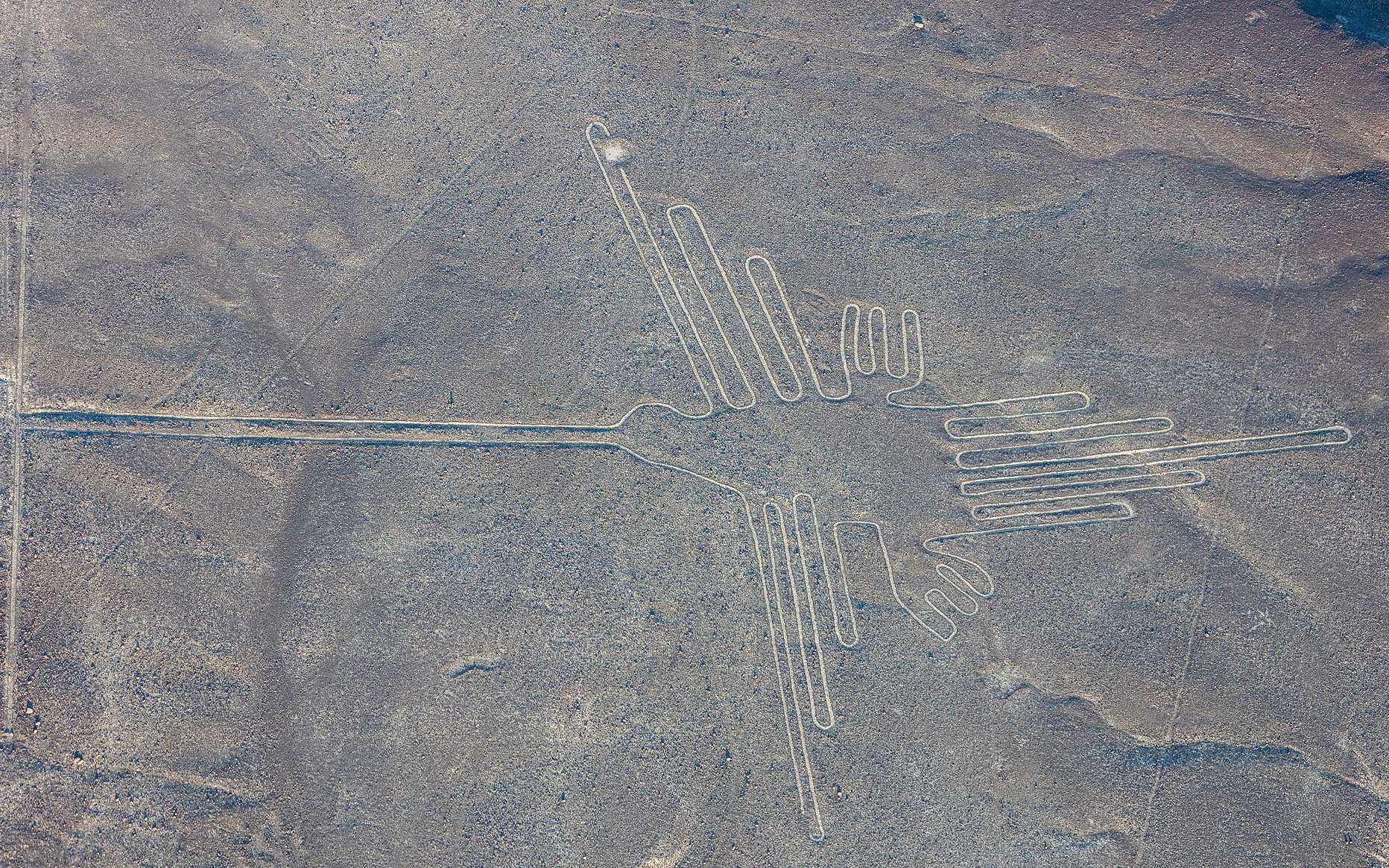 168 nouveaux géoglyphes de Nazca découverts au Pérou