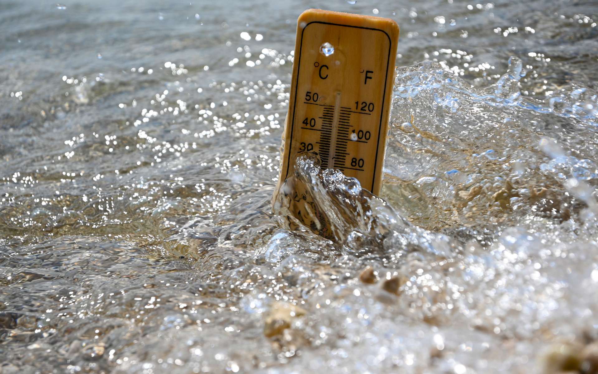 Coup de froid en Méditerranée : pourquoi la mer est soudainement devenue plus froide que la Manche ?