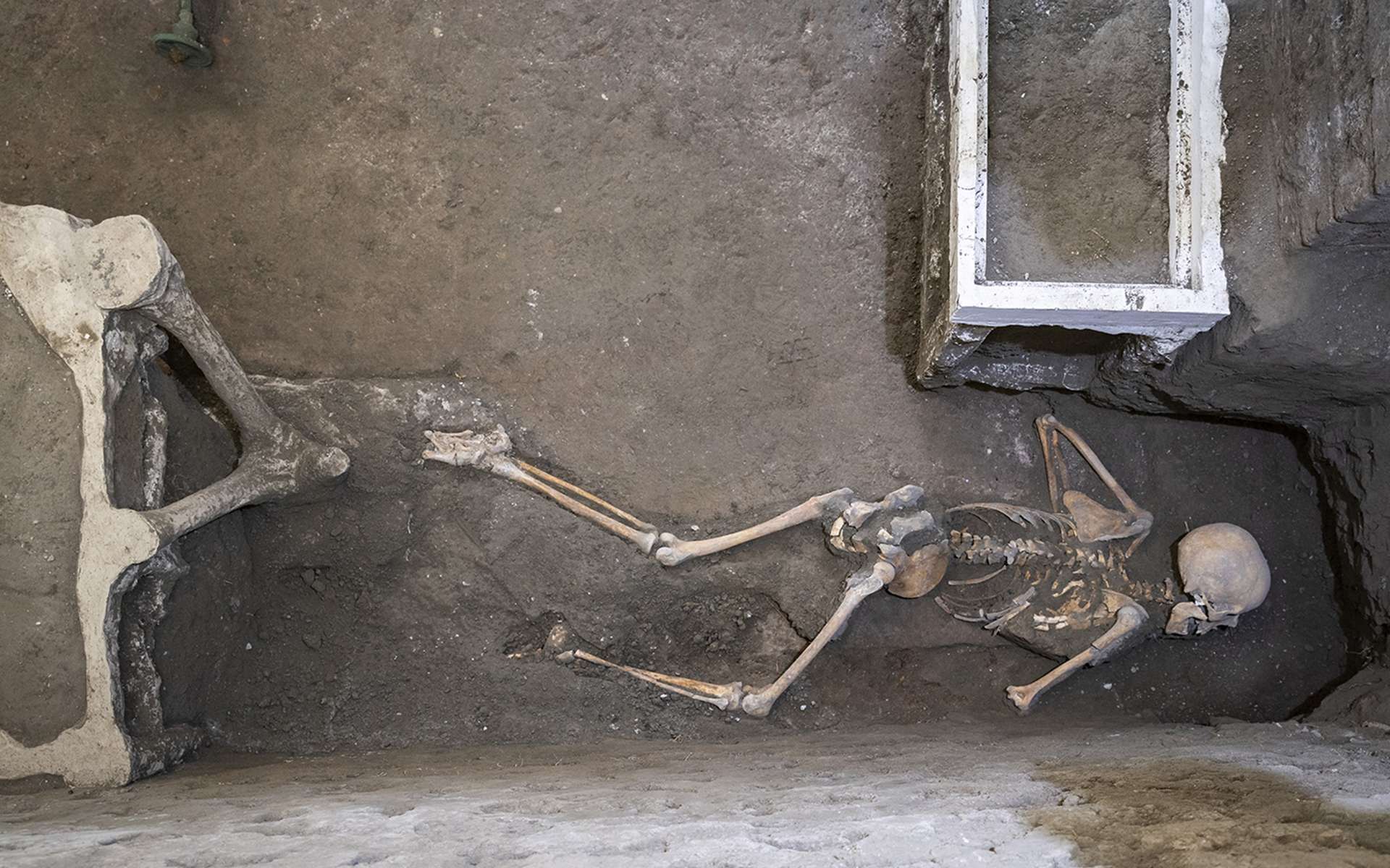 Ce couple découvert à Pompéi avec leur trésor offre un regard inédit sur la vie antique