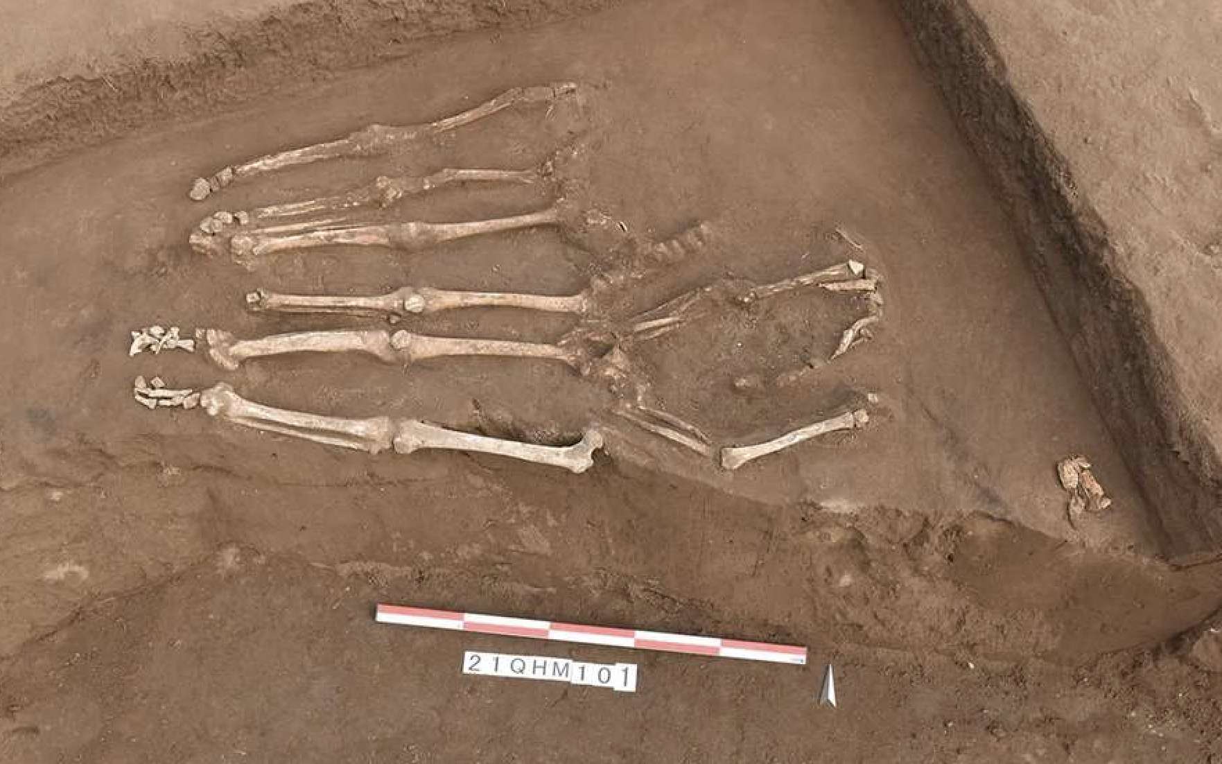 Découverte de 41 squelettes décapités dans un charnier du Néolithique en Chine
