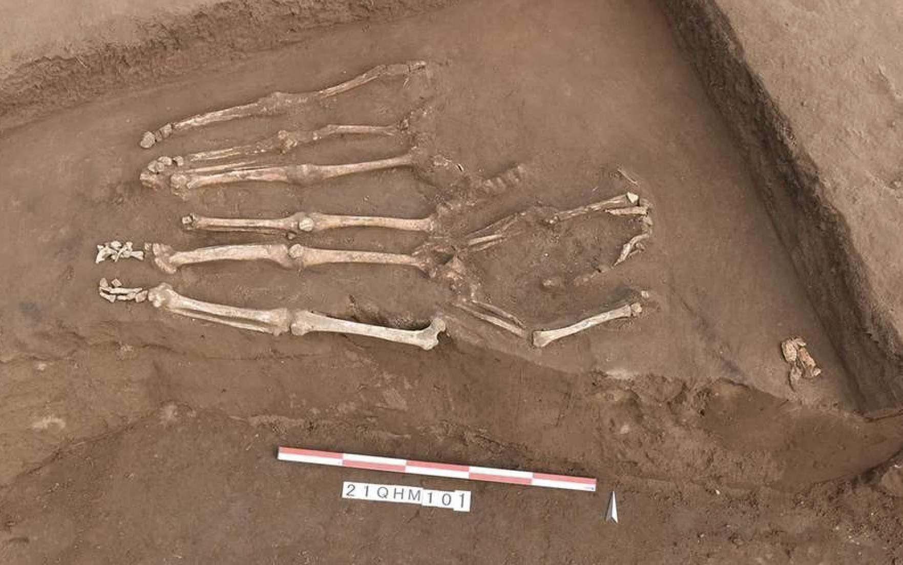 Découverte en Chine d'un d'un terrifiant massacre qui s'est produit il y a 4 000 ans