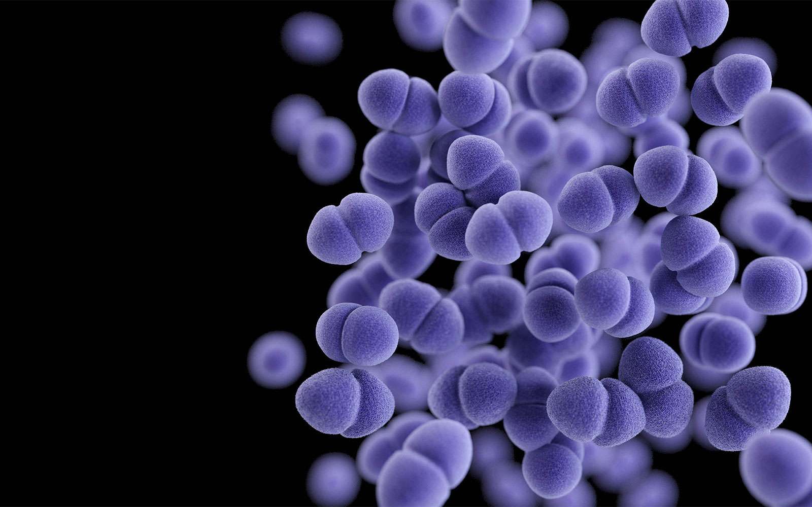 Une modélisation informatique d’Enterococcus faecalis. © James Archer, CDC