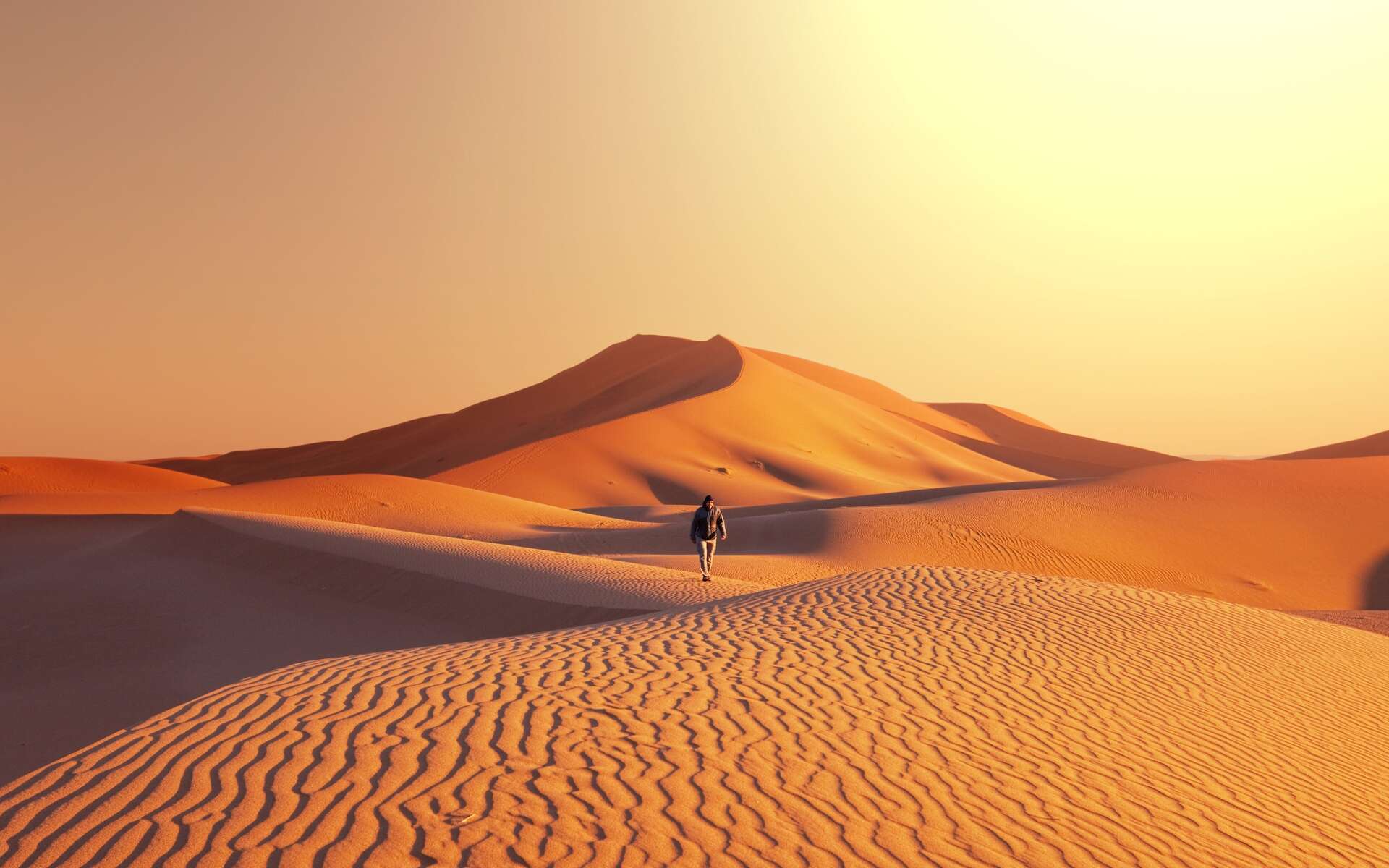 Dune : où sont les paysages magnifiques de la planète Arrakis sur Terre ?