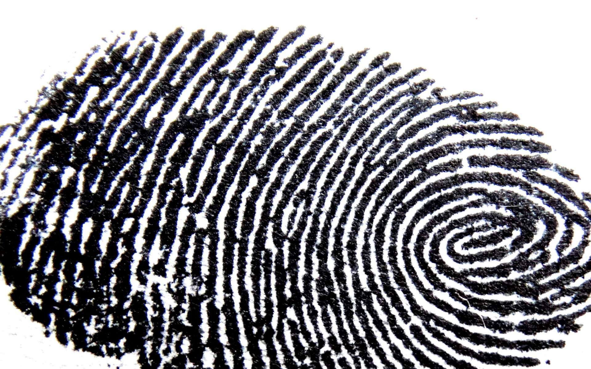 Le fingerprinting, en quelque sorte une empreinte numérique. © Piqsels
