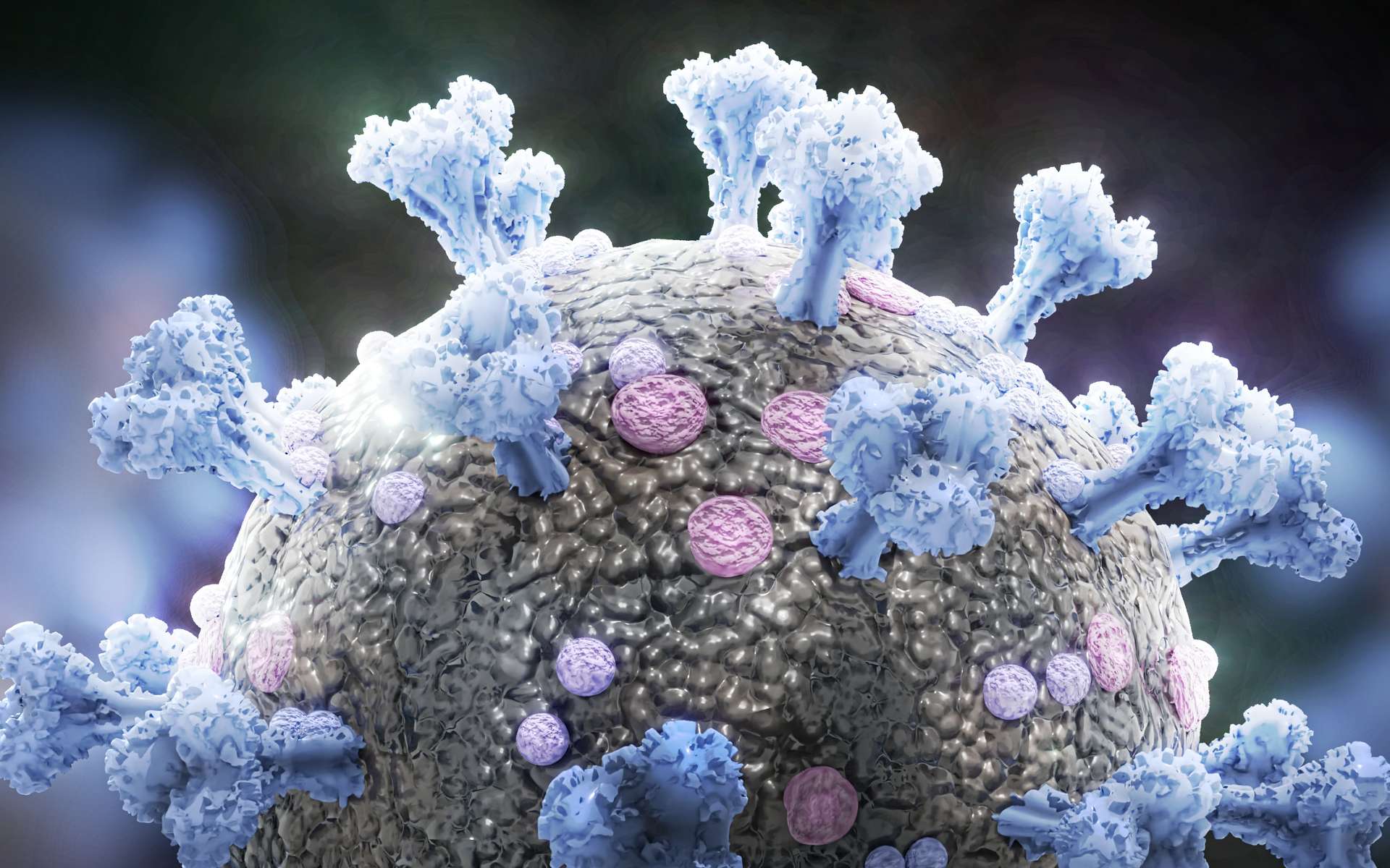 SARS-CoV-2 : une carte géante des interactions entre protéines virales et cellules humaines. © dottedyeti, Adobe Stock