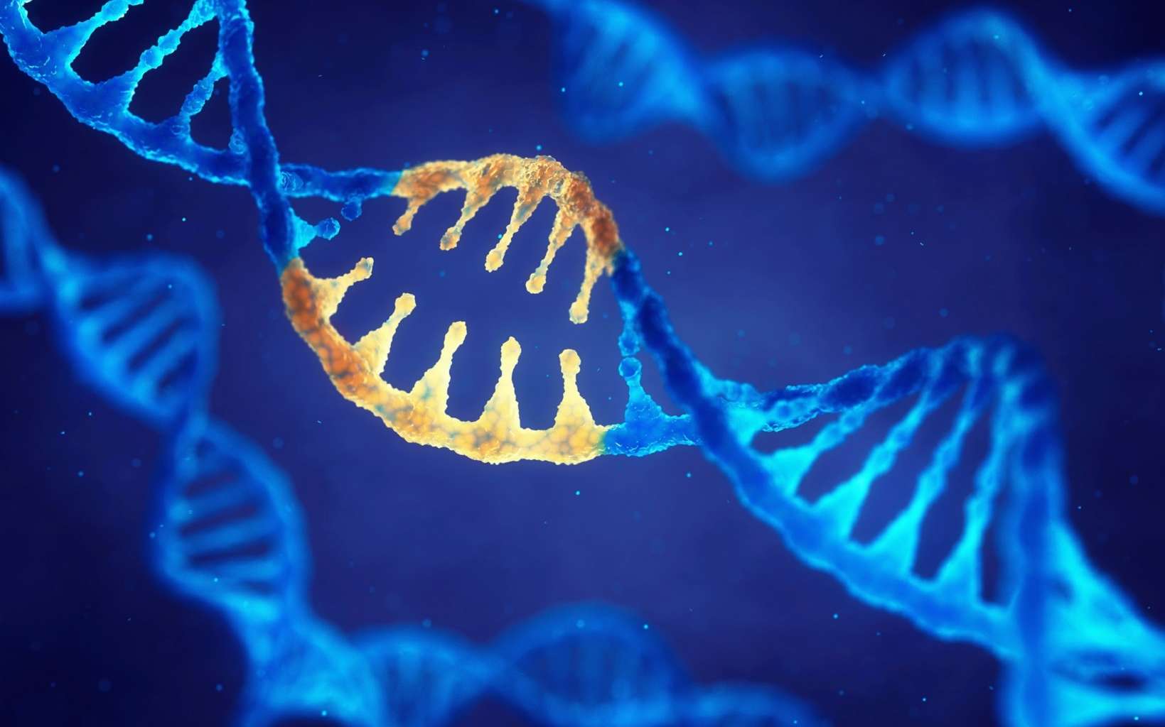 Modifier plus de 13.000 gènes à la fois, c'est possible grâce à une nouvelle technique d'édition CRISPR. © nobeastsofierce, Fotolia