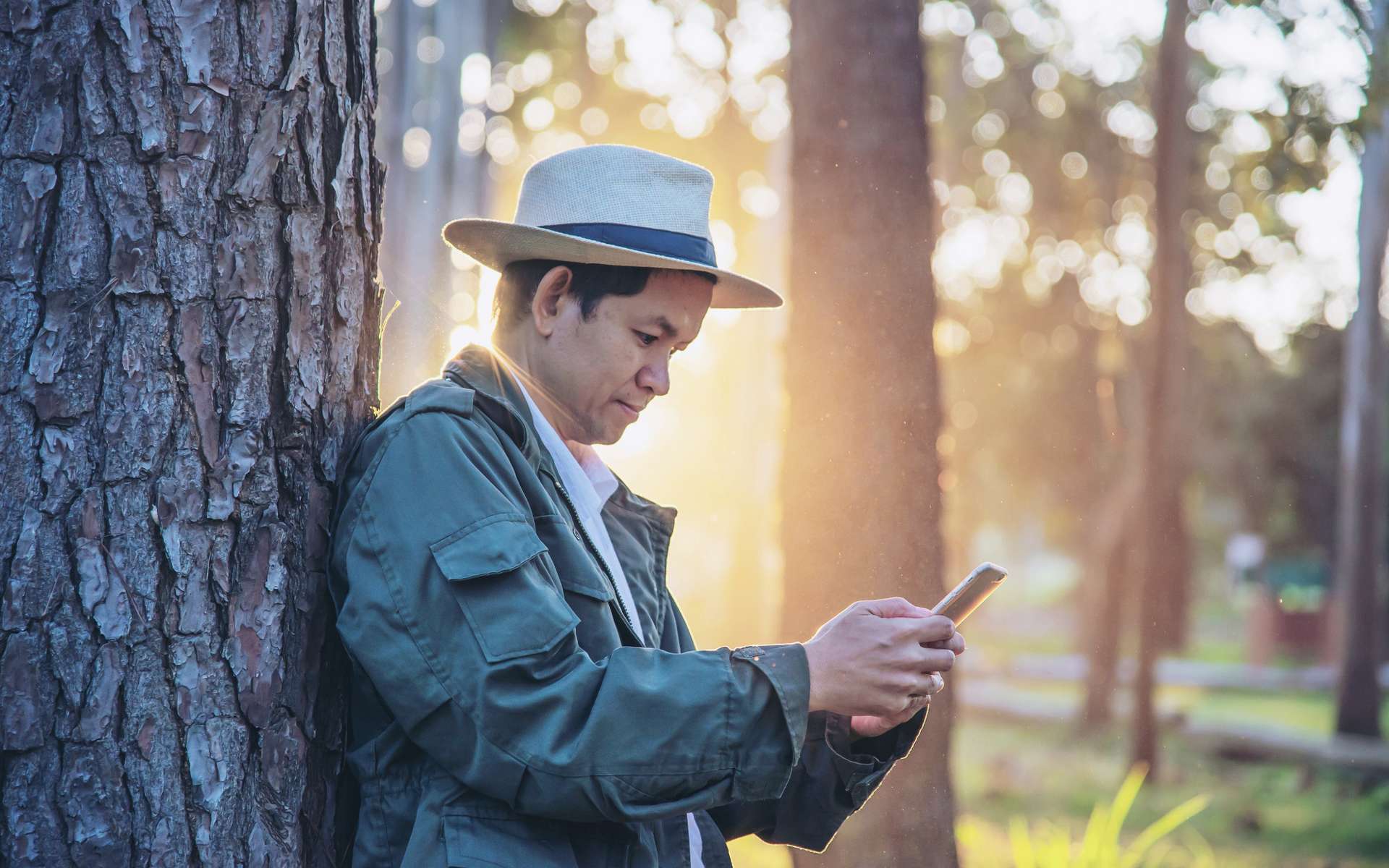 Quel opérateur propose le meilleur forfait mobile en zone rurale ?