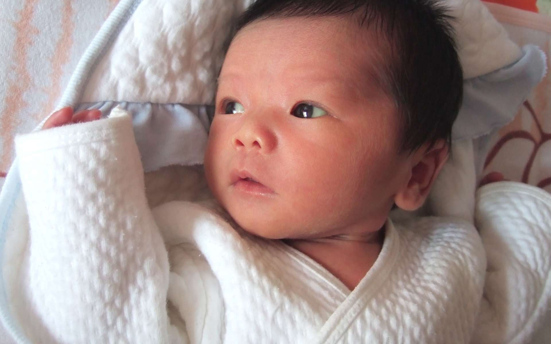 Les Bebes Aussi Sensibles A La Voix Humaine Qu Aux Cris De Lemuriens