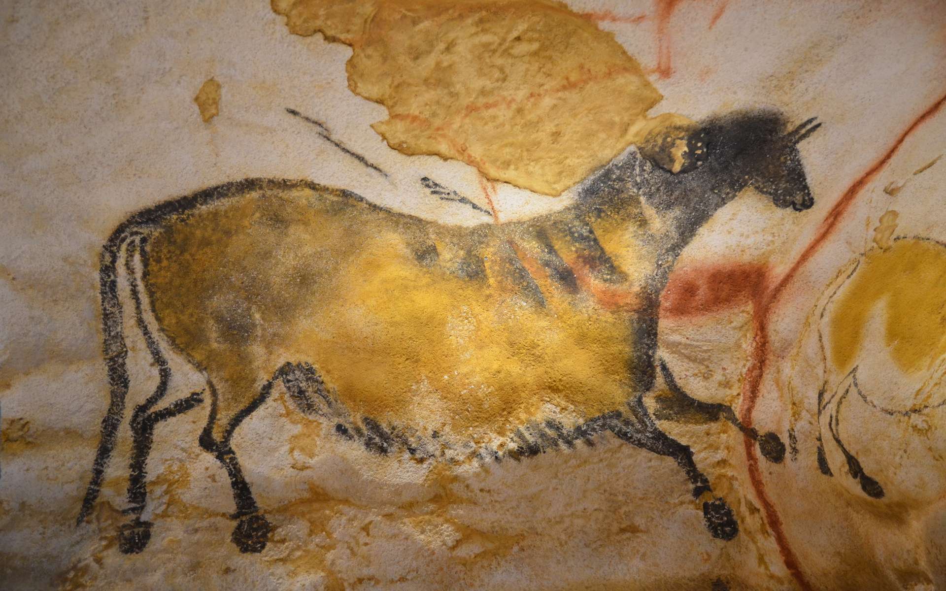 Les peintures rupestres auraient-elles servi de calendriers lunaires archaïques ?