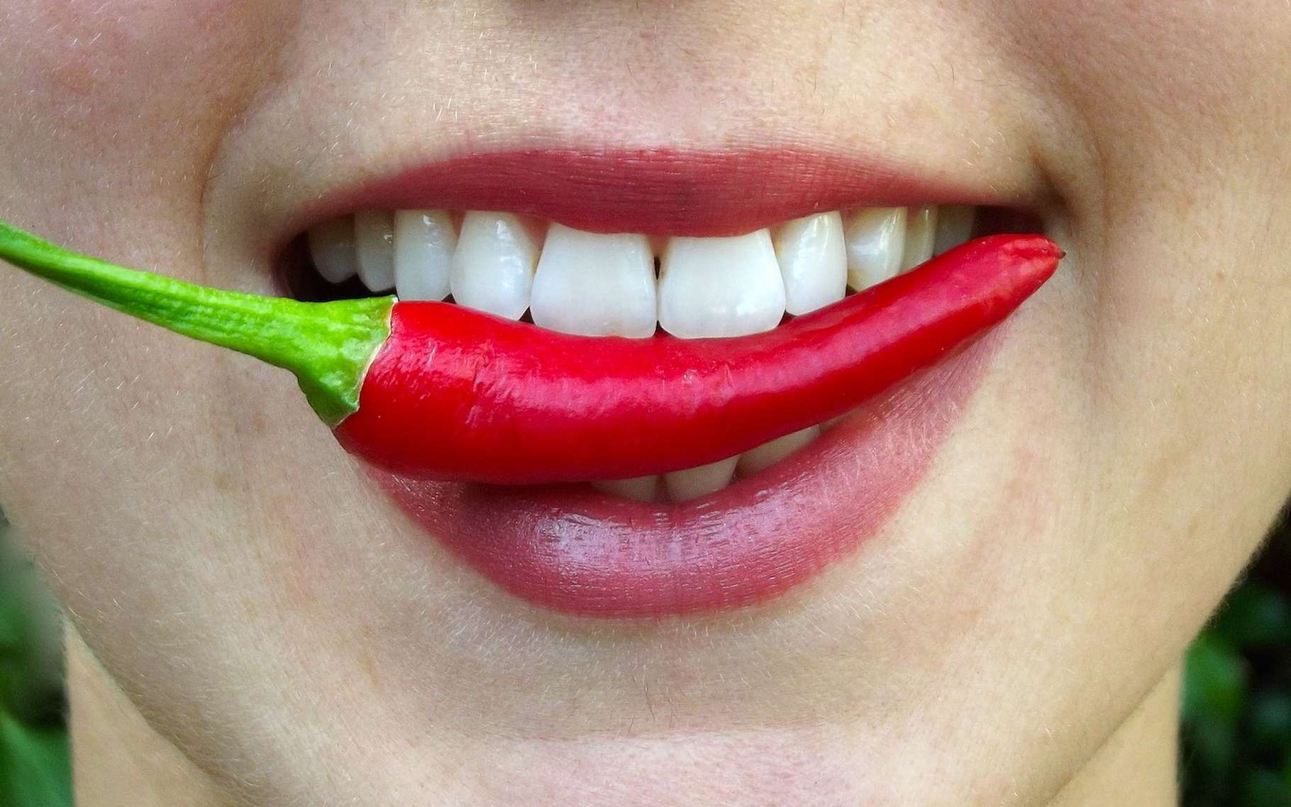 Le piment ne brûle pas la bouche. Il provoque simplement une sensation de brûlure, mais qui peut s’avérer réellement douloureuse. © englishlikeanative, Pixabay License