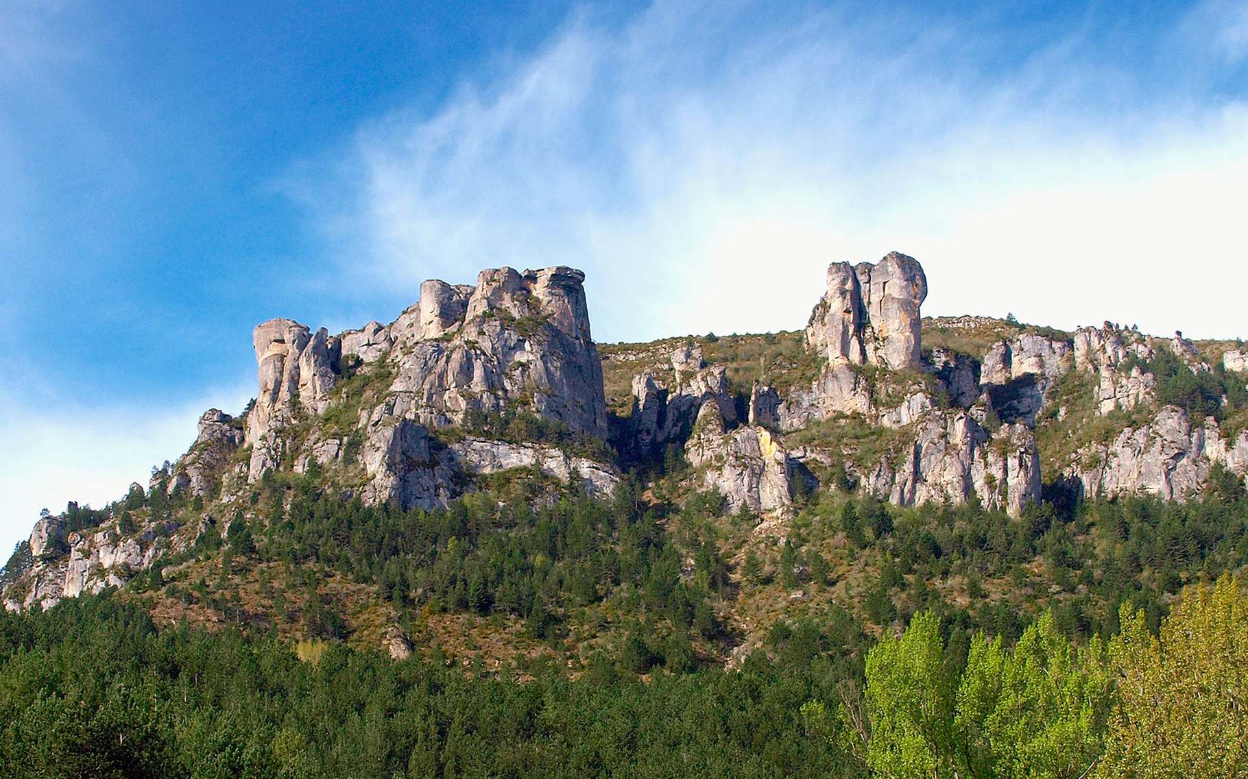 Parc des C  vennes ch  taigne Dossier