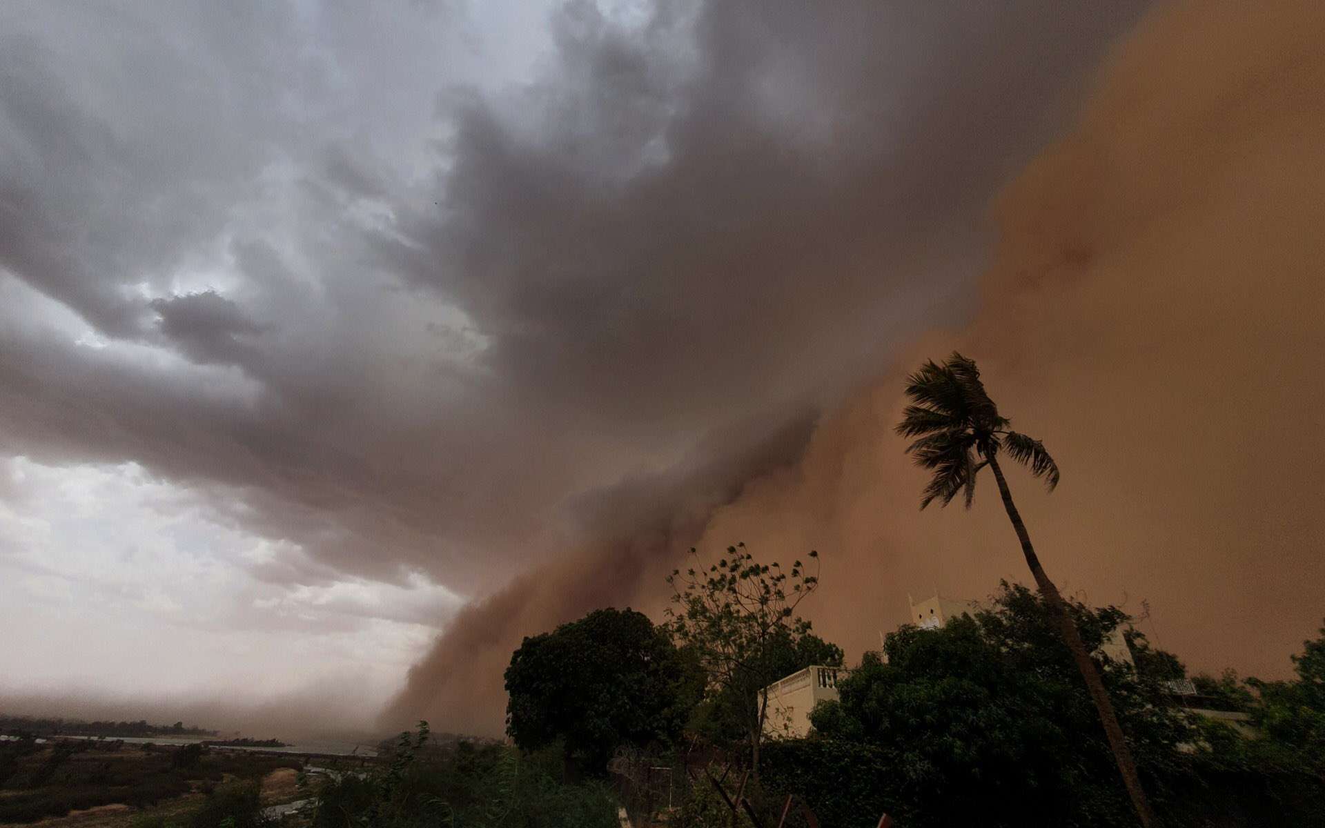 En vidéo, la capitale du Niger balayée par un impressionnant mur de sable