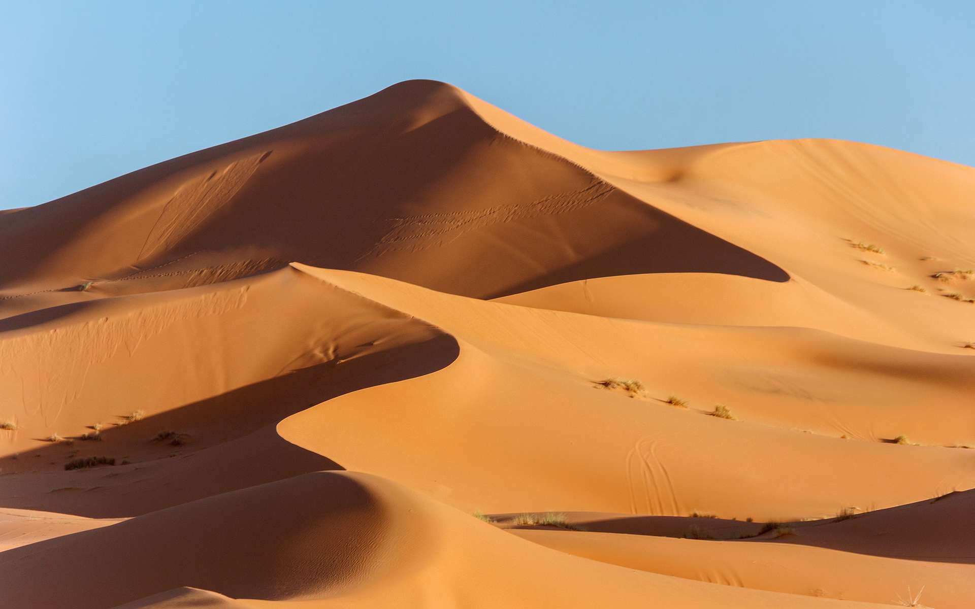 Le mystère du « Sahara vert » est enfin résolu
