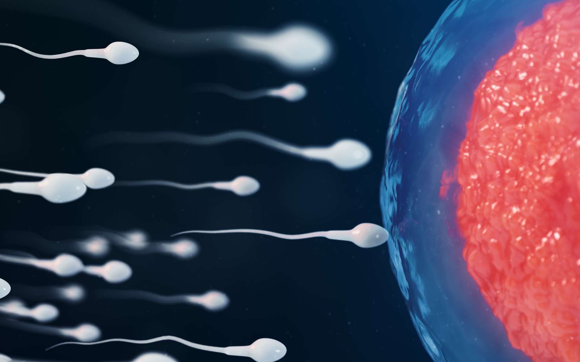 Quel statut moral pour l'embryon et le fœtus ? © rost9, Adobe stock