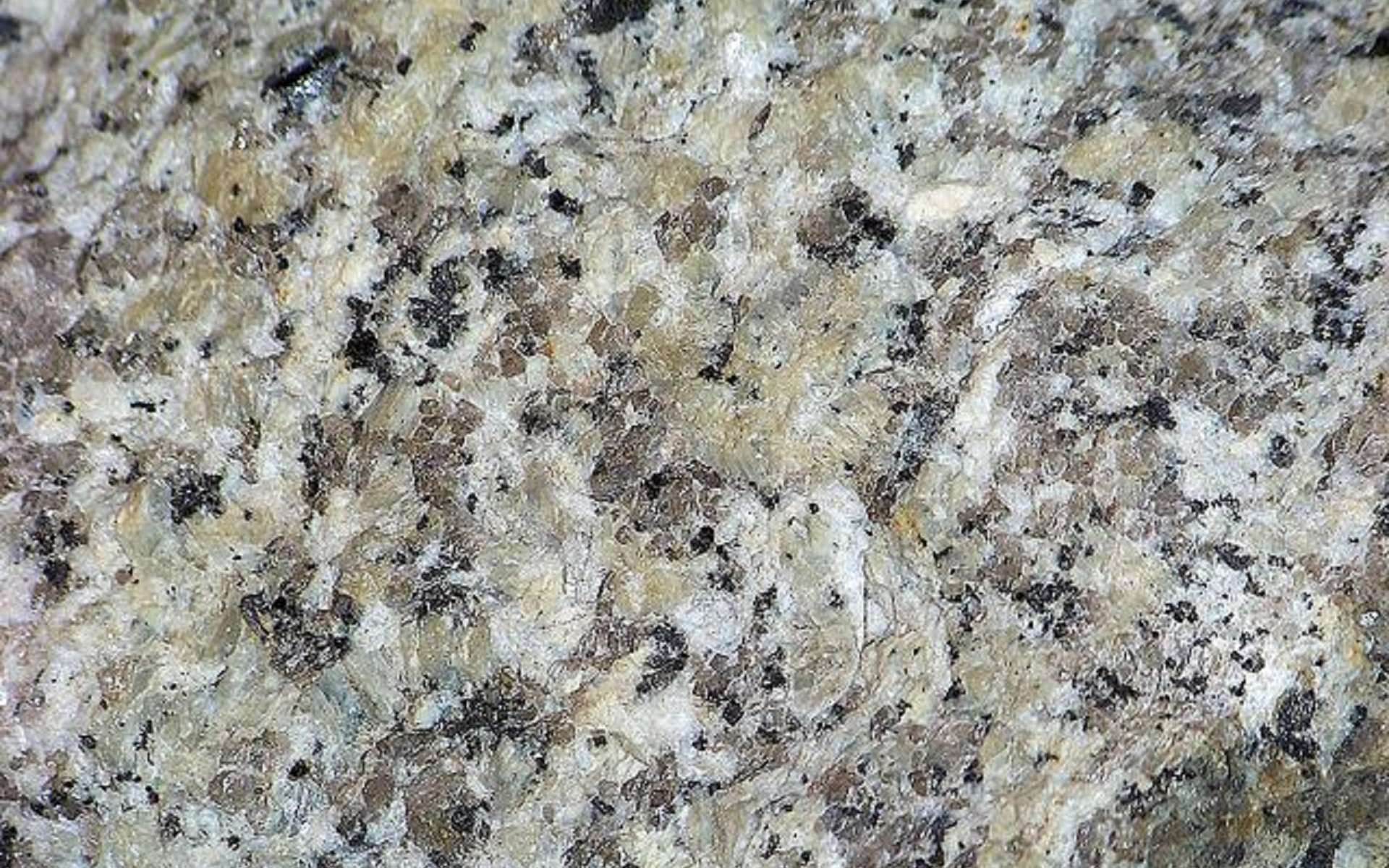 Granite riche en quartz. © Piotr Sosnowski, CC by-sa 4.0, Wikimedia Commons