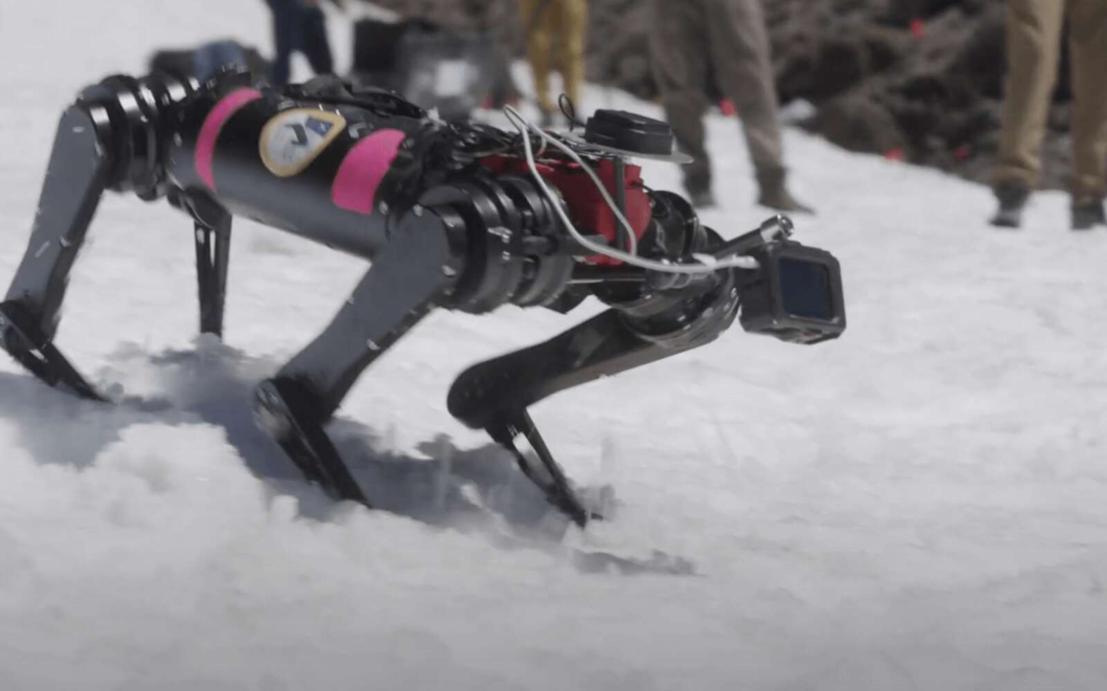 La Nasa entraine ces robots dans les montagnes pour leurs futures missions sur la Lune