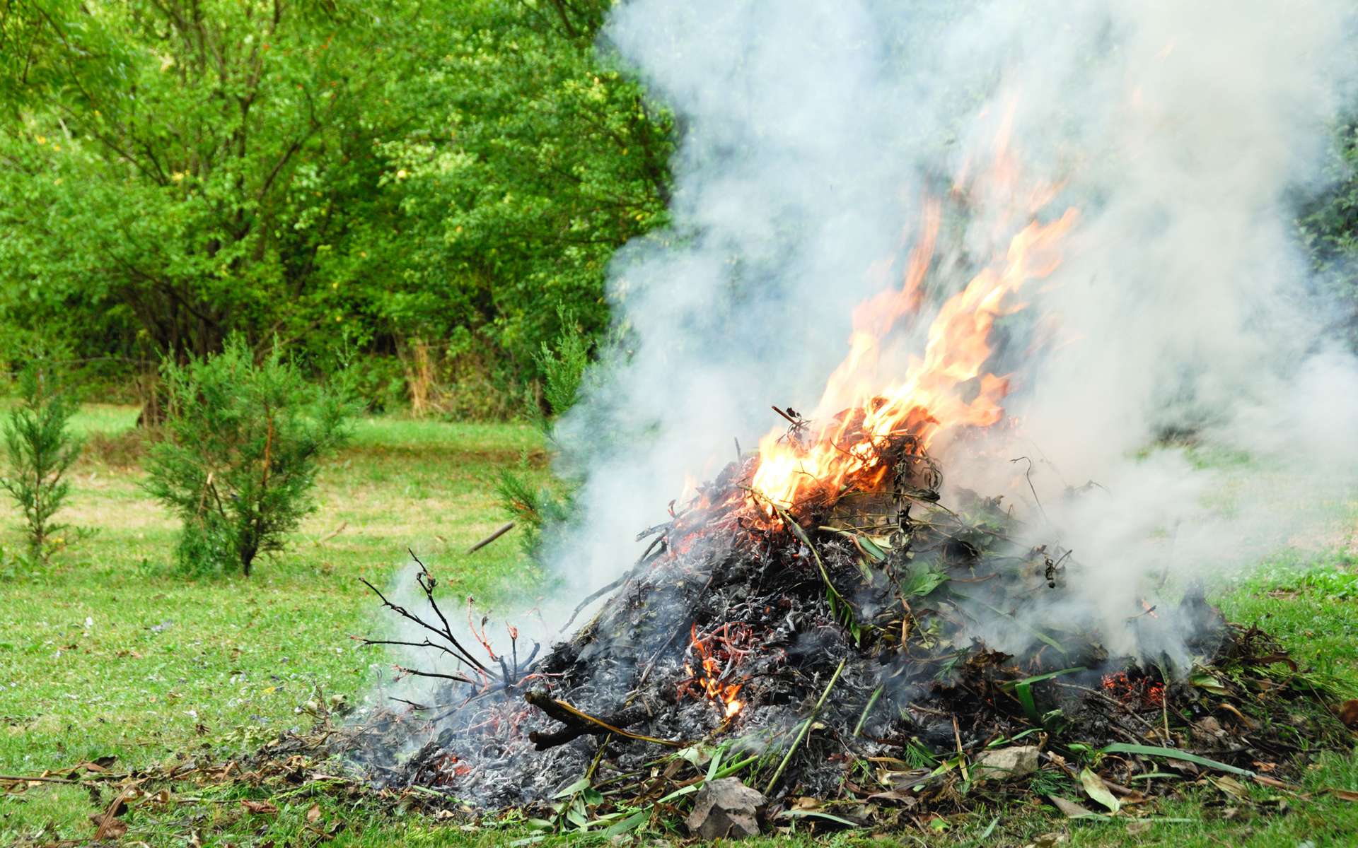 Pourquoi brûler ses déchets de jardin est une mauvaise idée